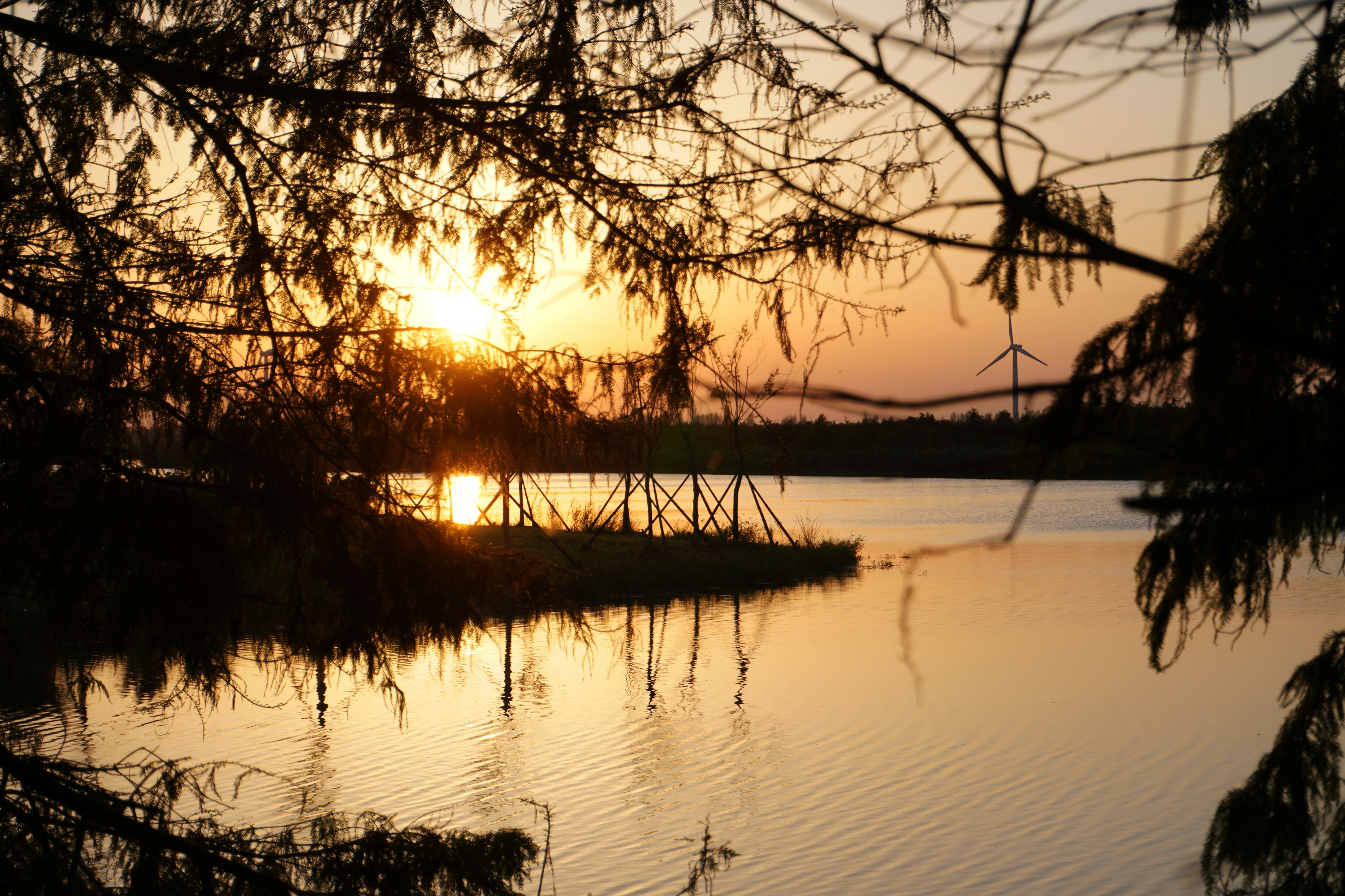 Photo by sakamotomari