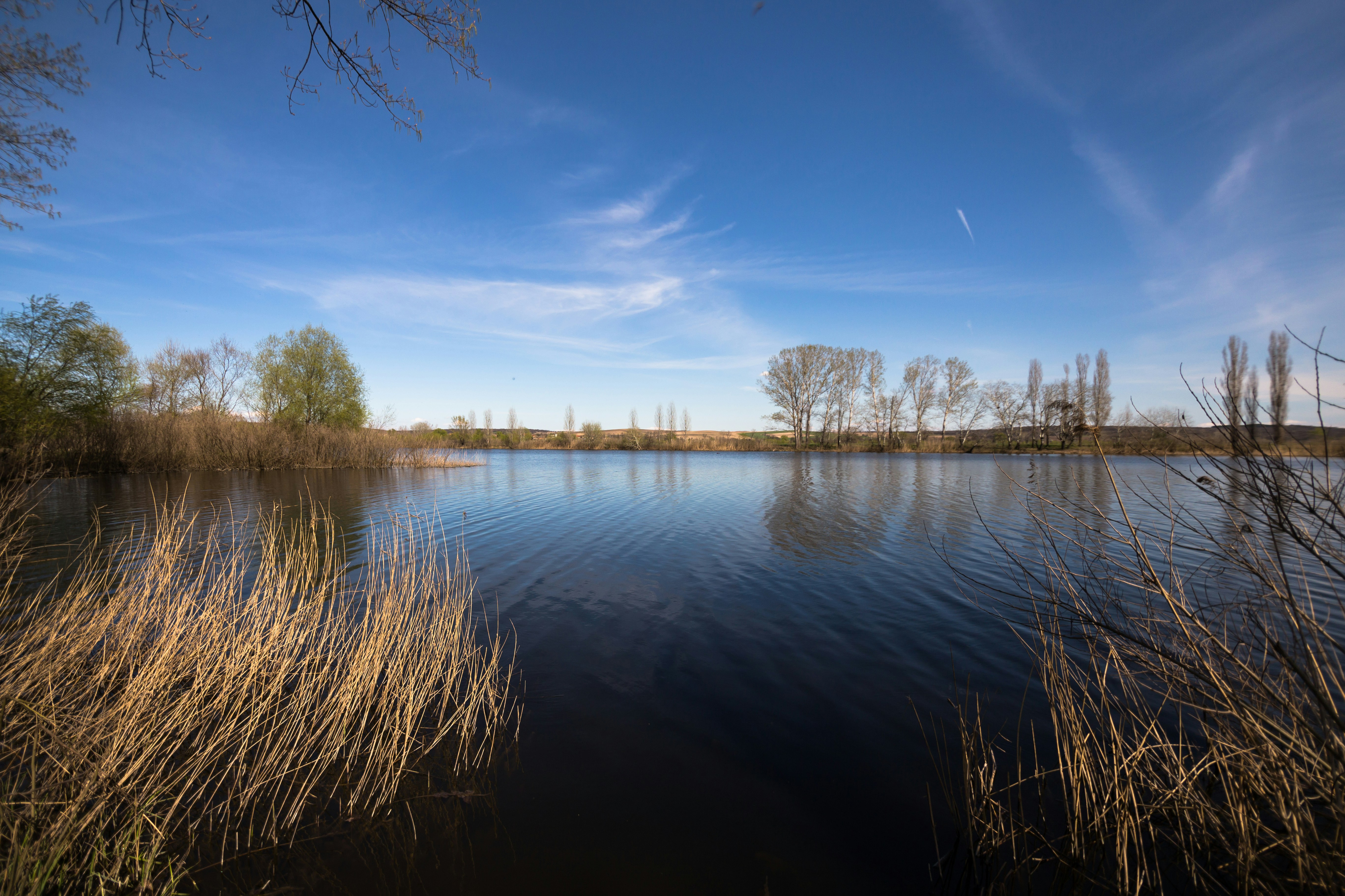 Photo by blooddrainer