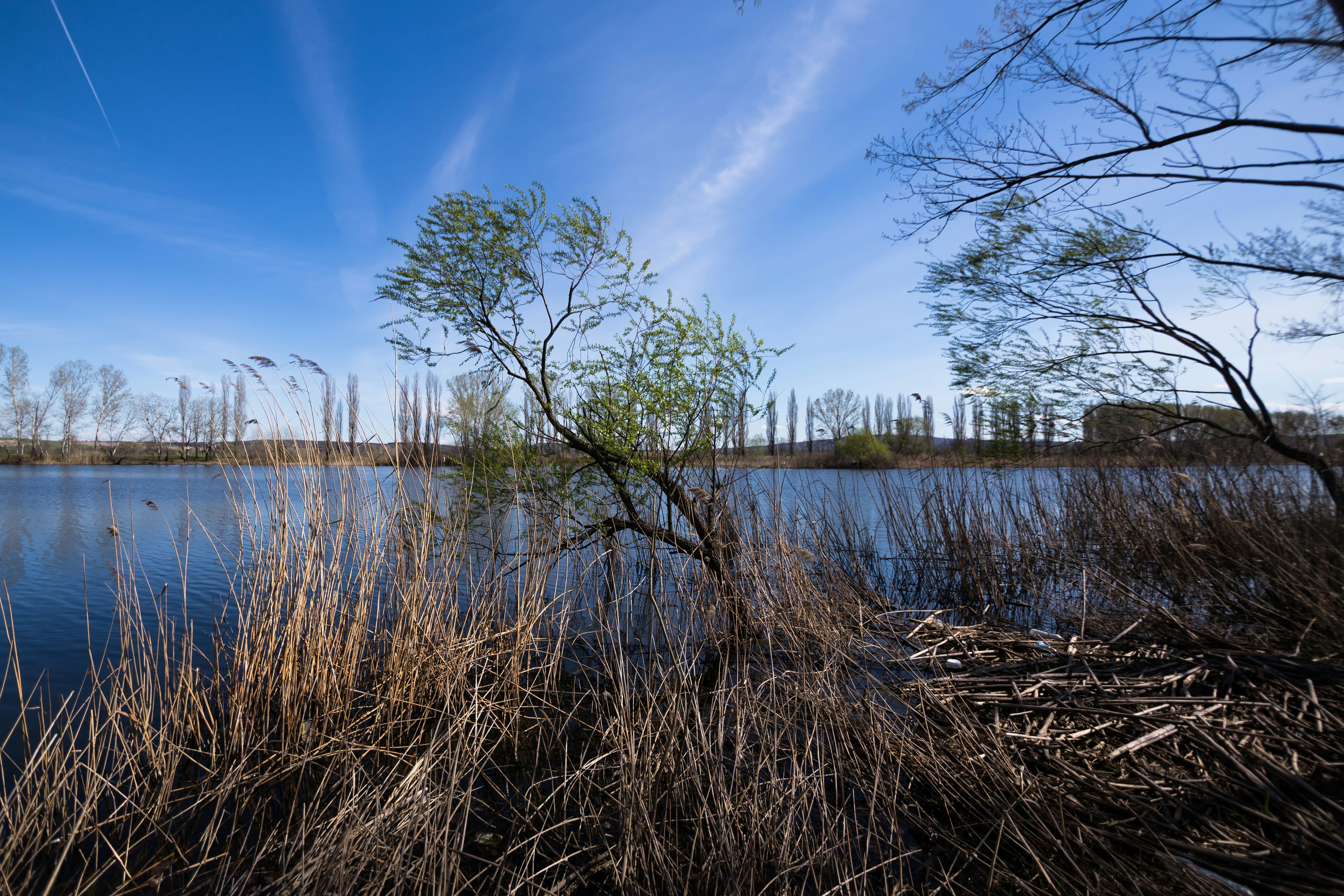 Photo by blooddrainer