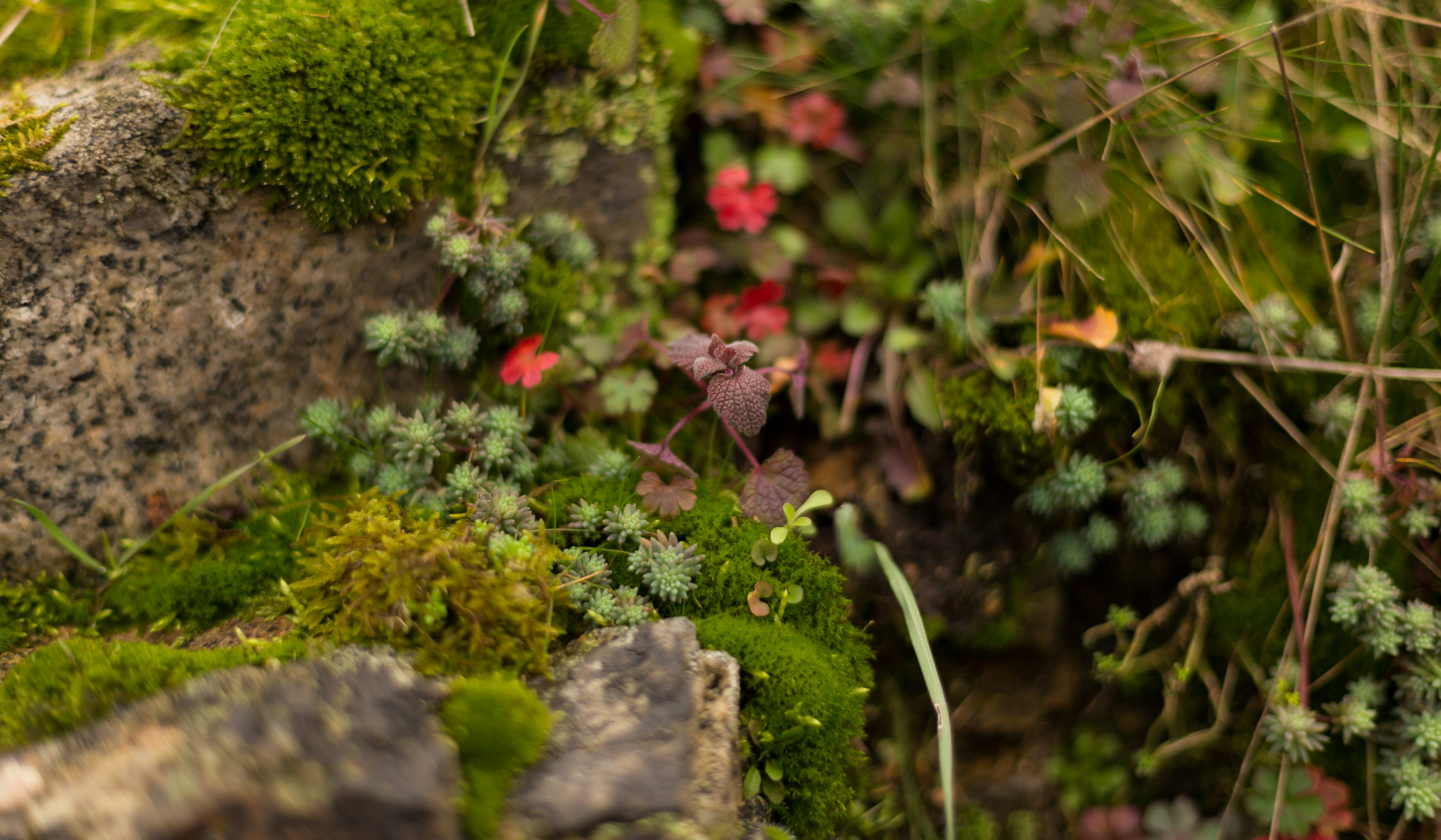 Photo by blooddrainer