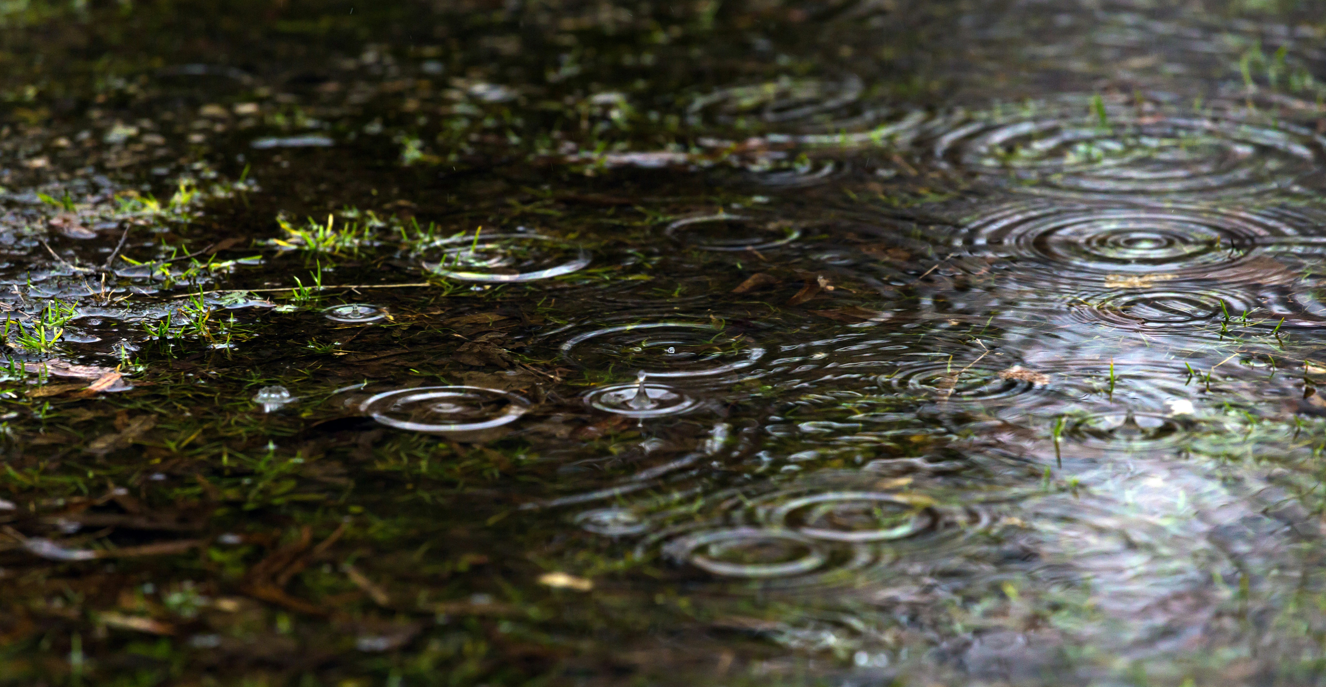 Photo by blooddrainer