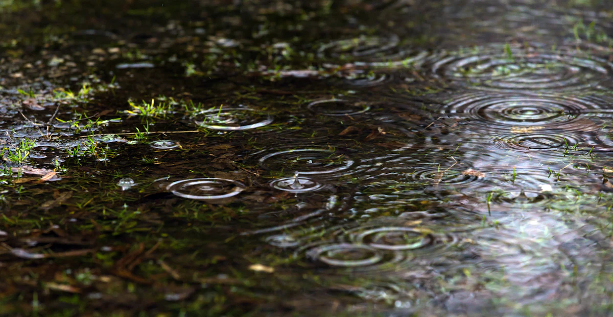 Regen op de grond