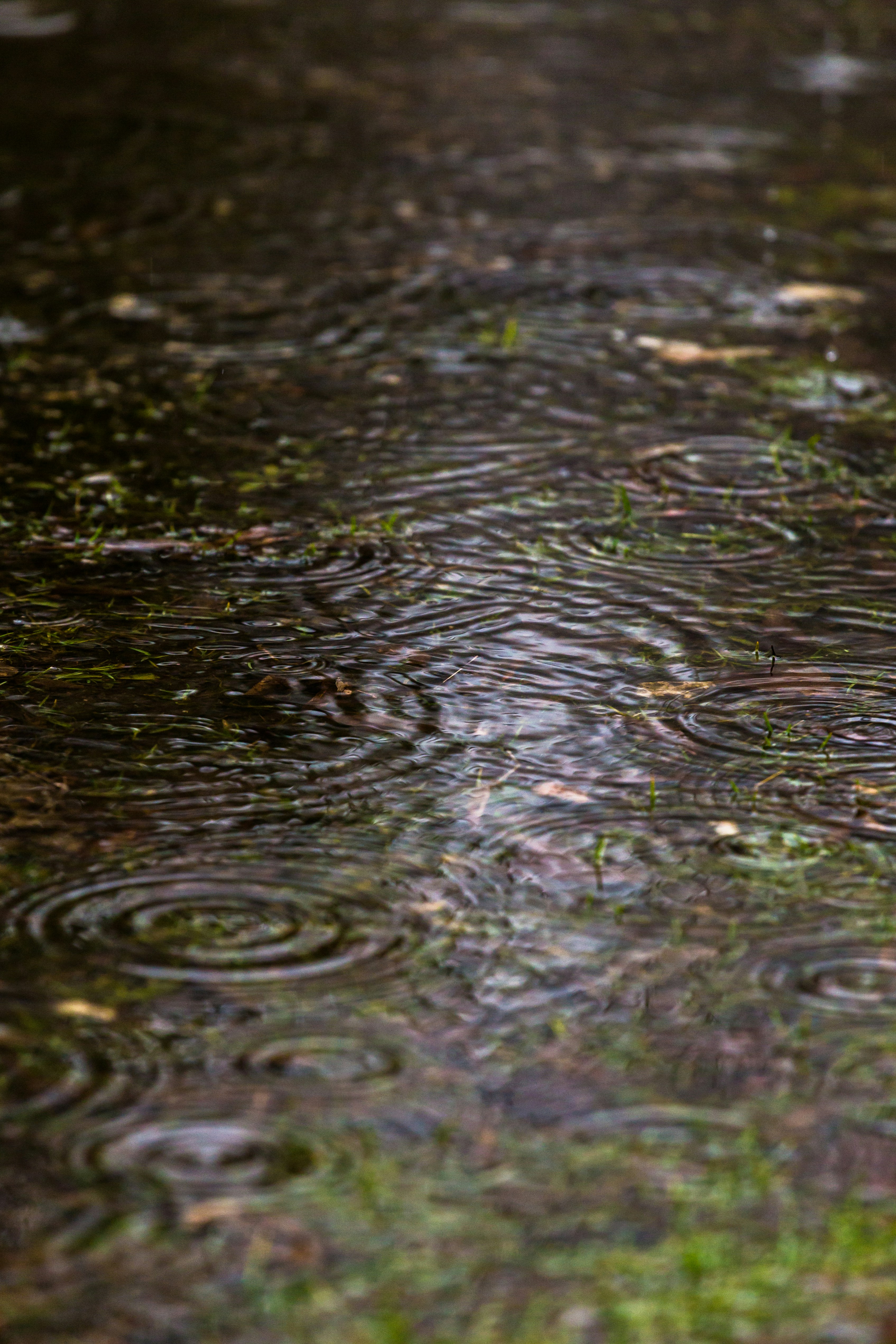 Photo by blooddrainer