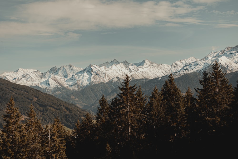 a view of a mountain range with trees in the foreground