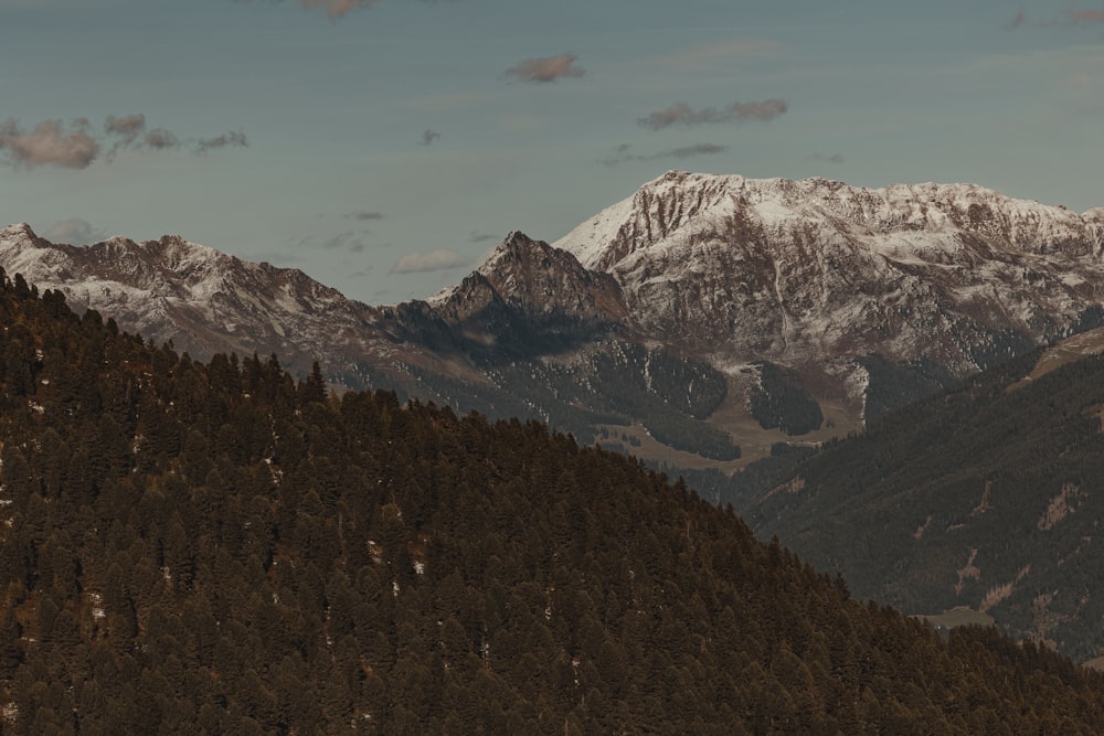 une vue d’une chaîne de montagnes avec des arbres au premier plan