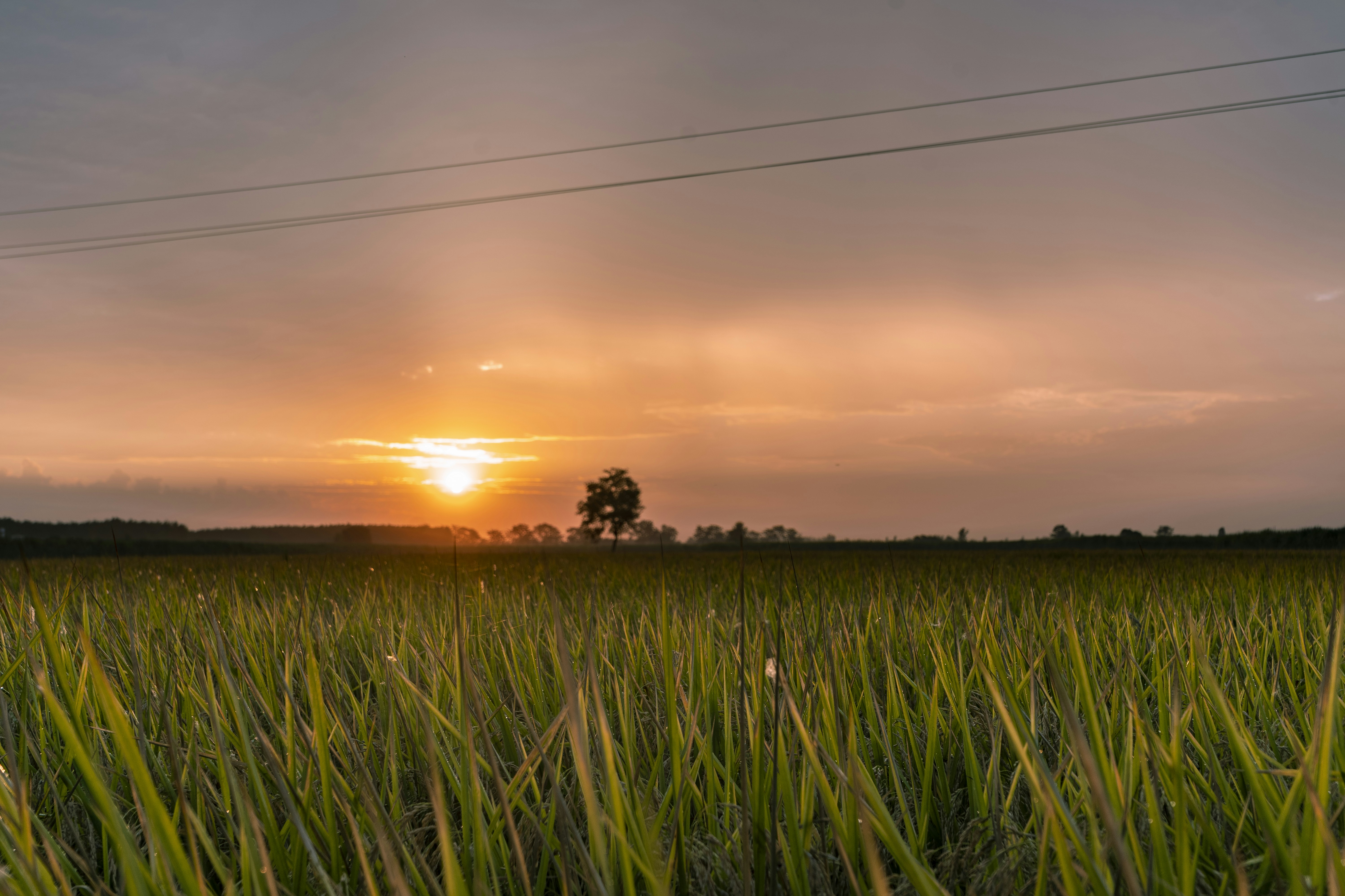 Photo by yogendras31