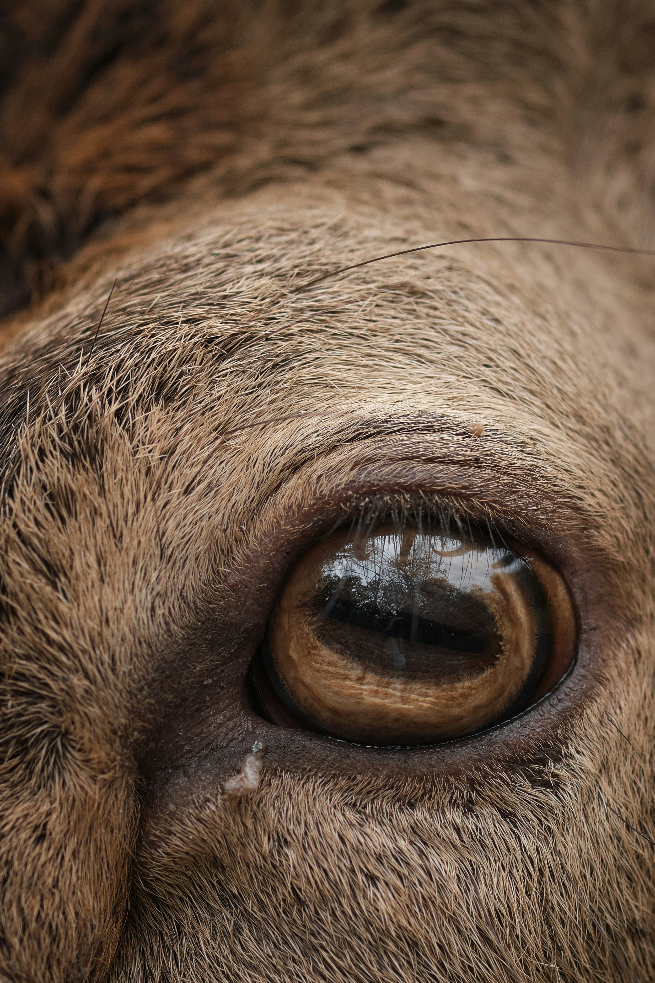 Photo by timschmidbauer