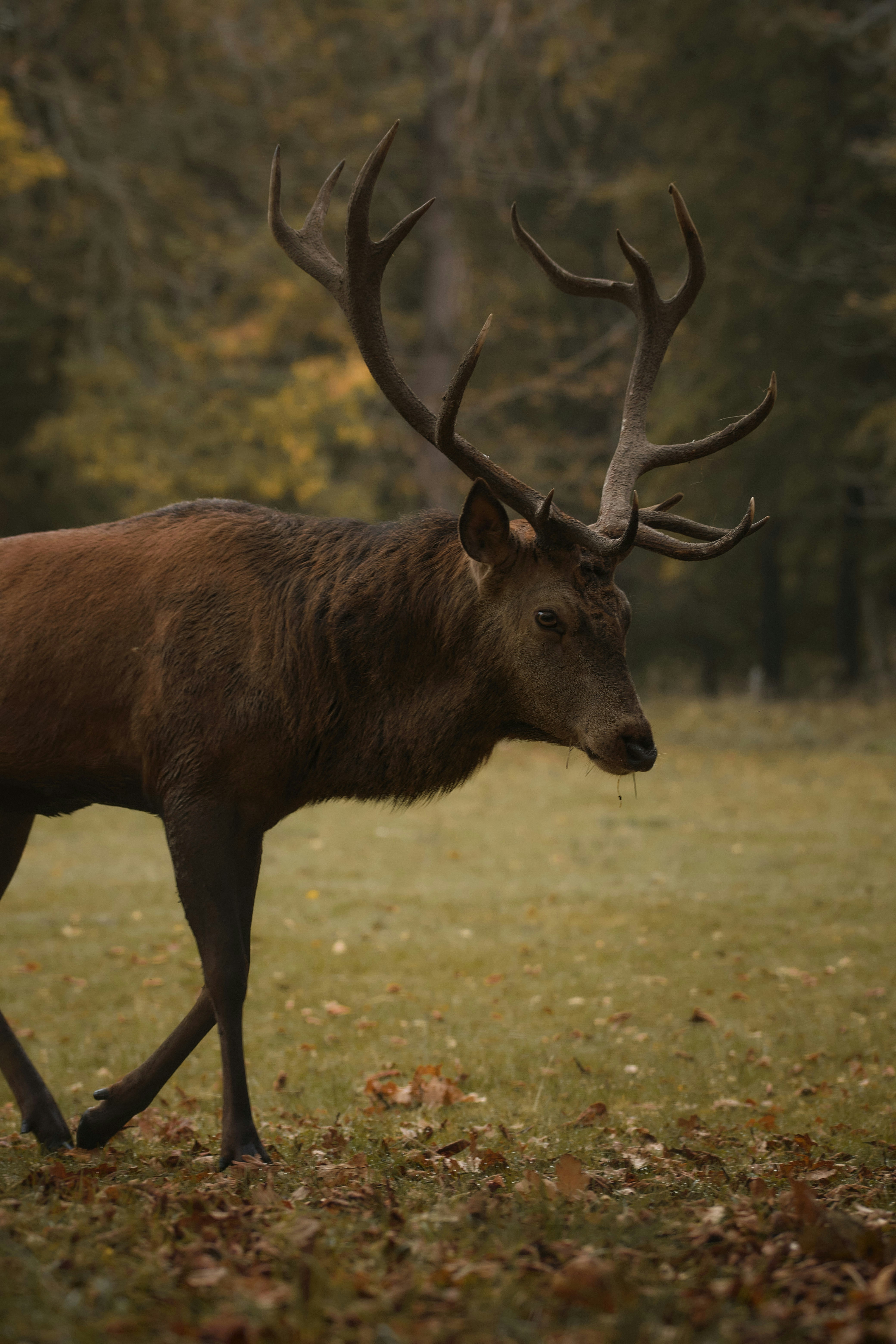 Photo by timschmidbauer