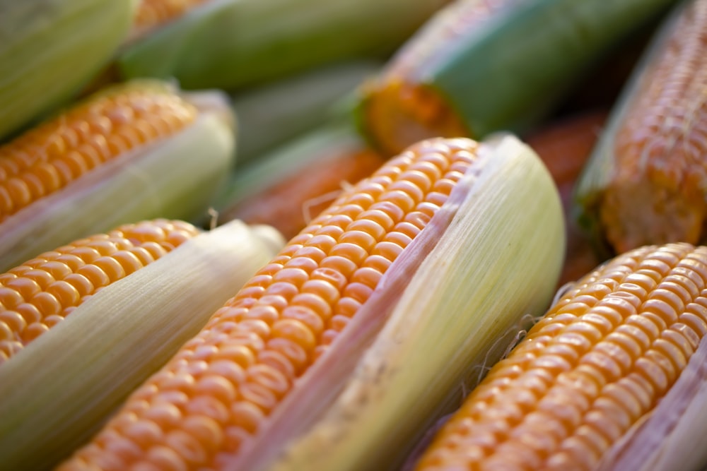 a close up of corn on the cob