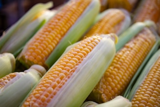 a close up of corn on the cob