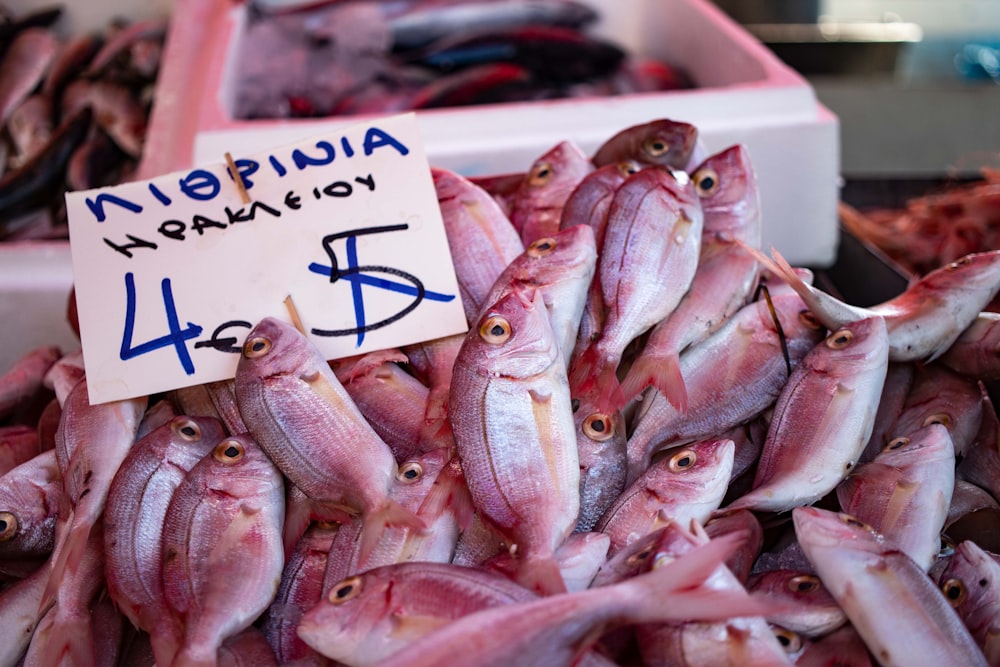 a pile of fish sitting on top of a table