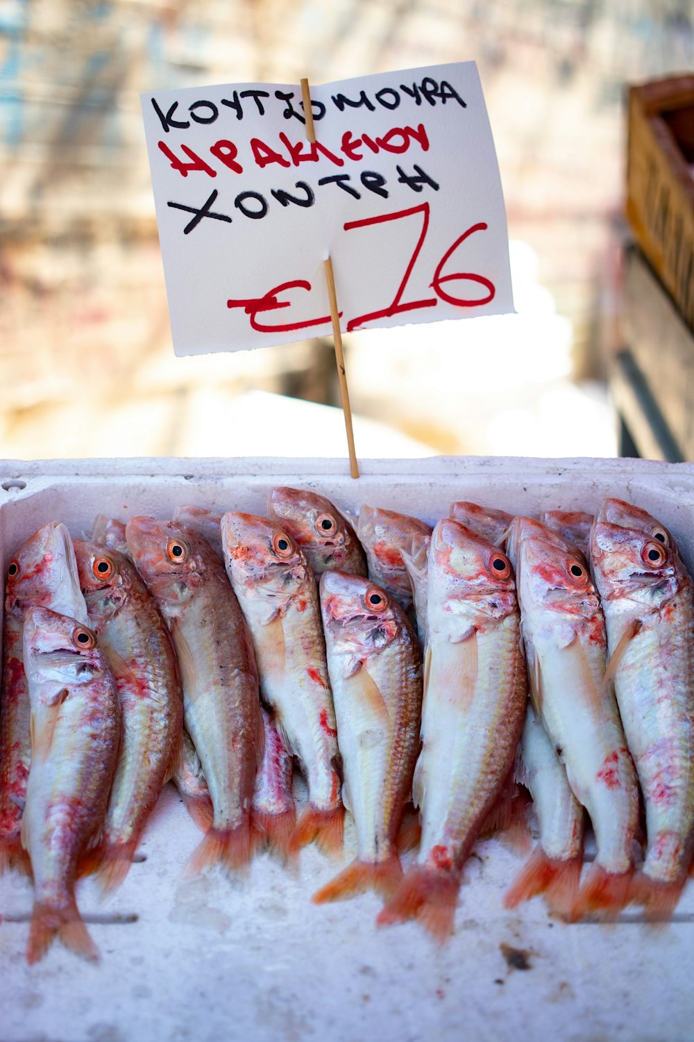 a bunch of fish that are on a table