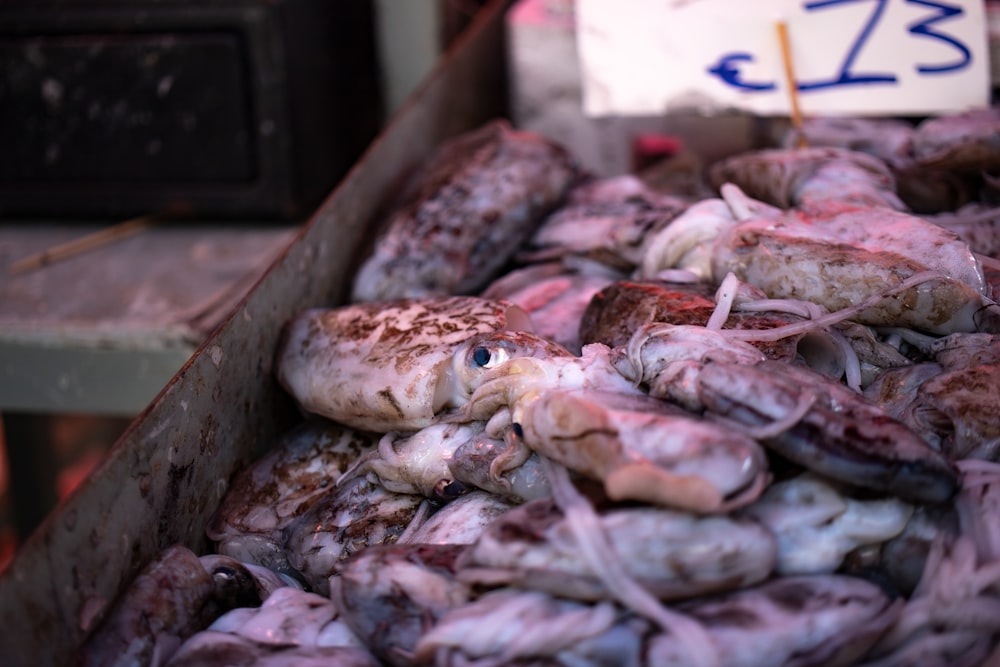 a box filled with lots of cut up fish