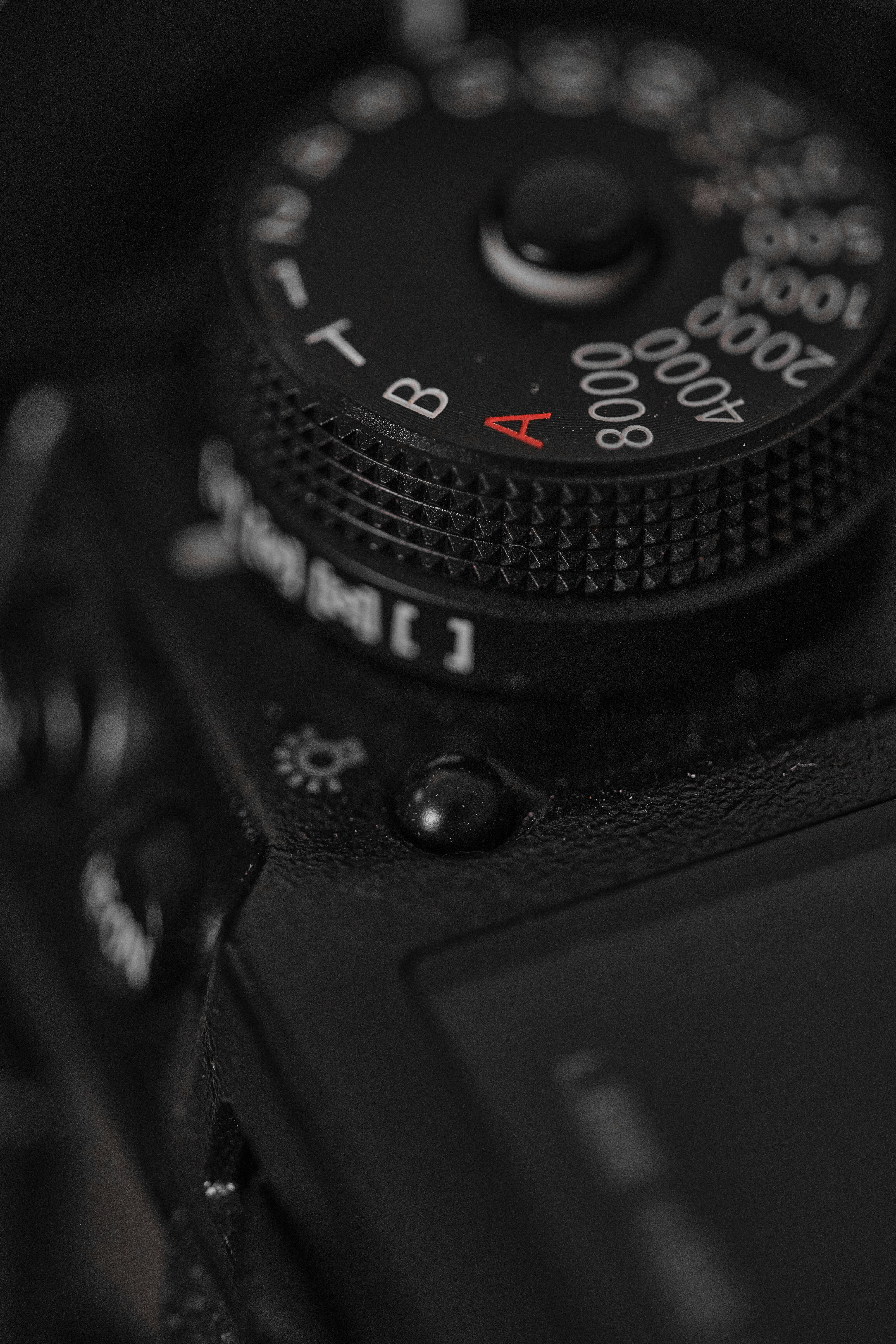 Photo by timschmidbauer