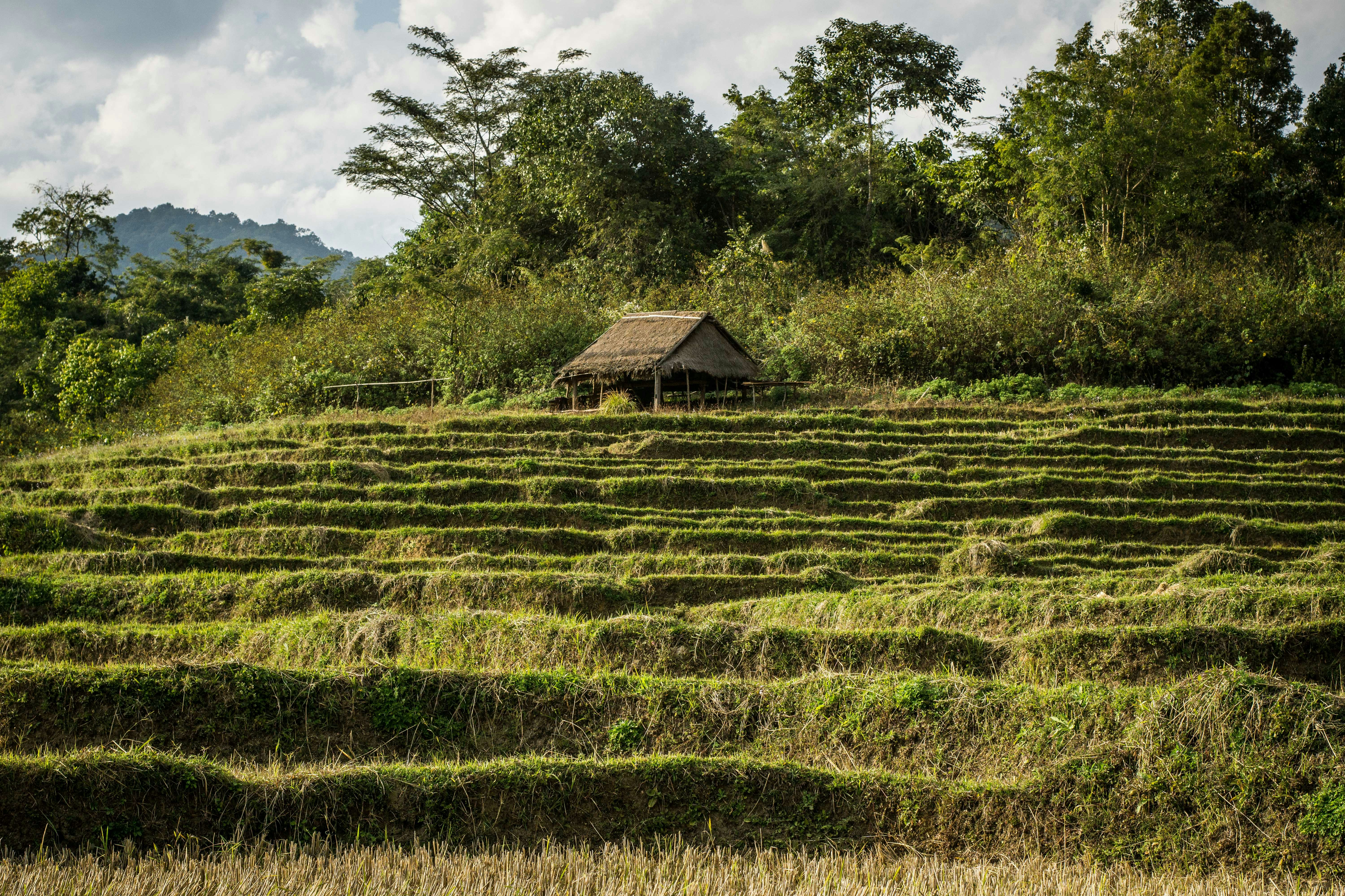 Photo by flashback_travel_guide