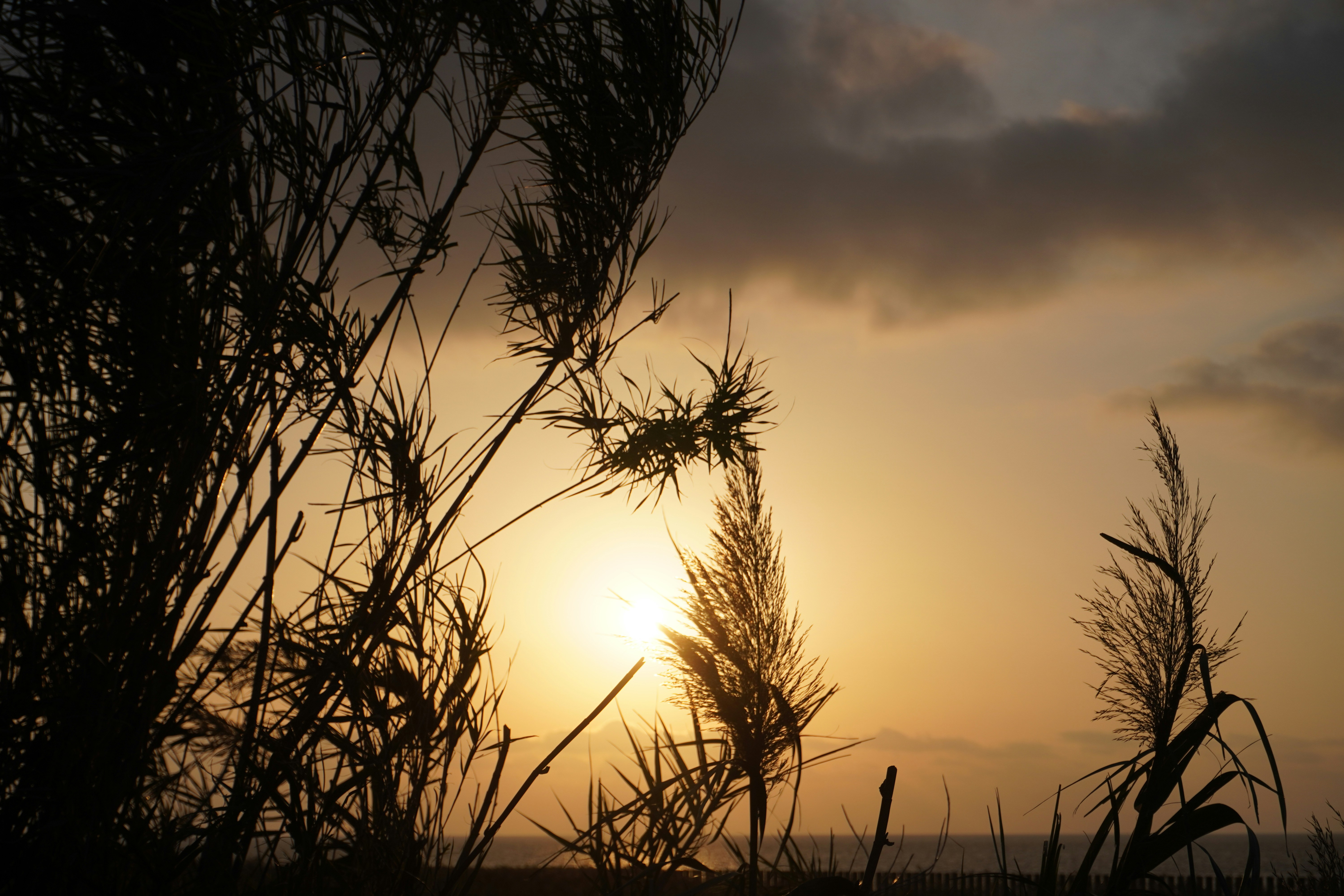 Photo by sakamotomari