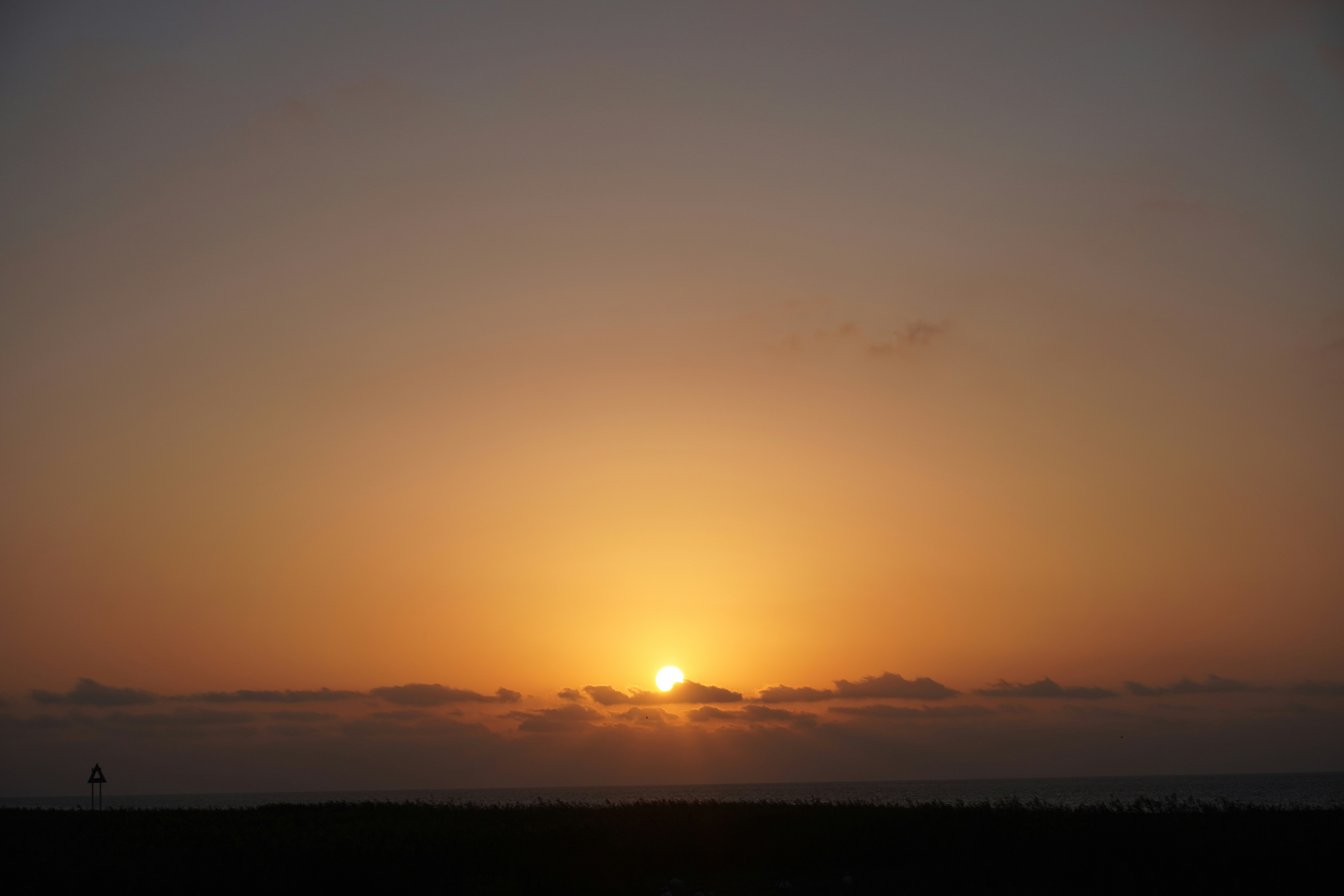 Photo by sakamotomari