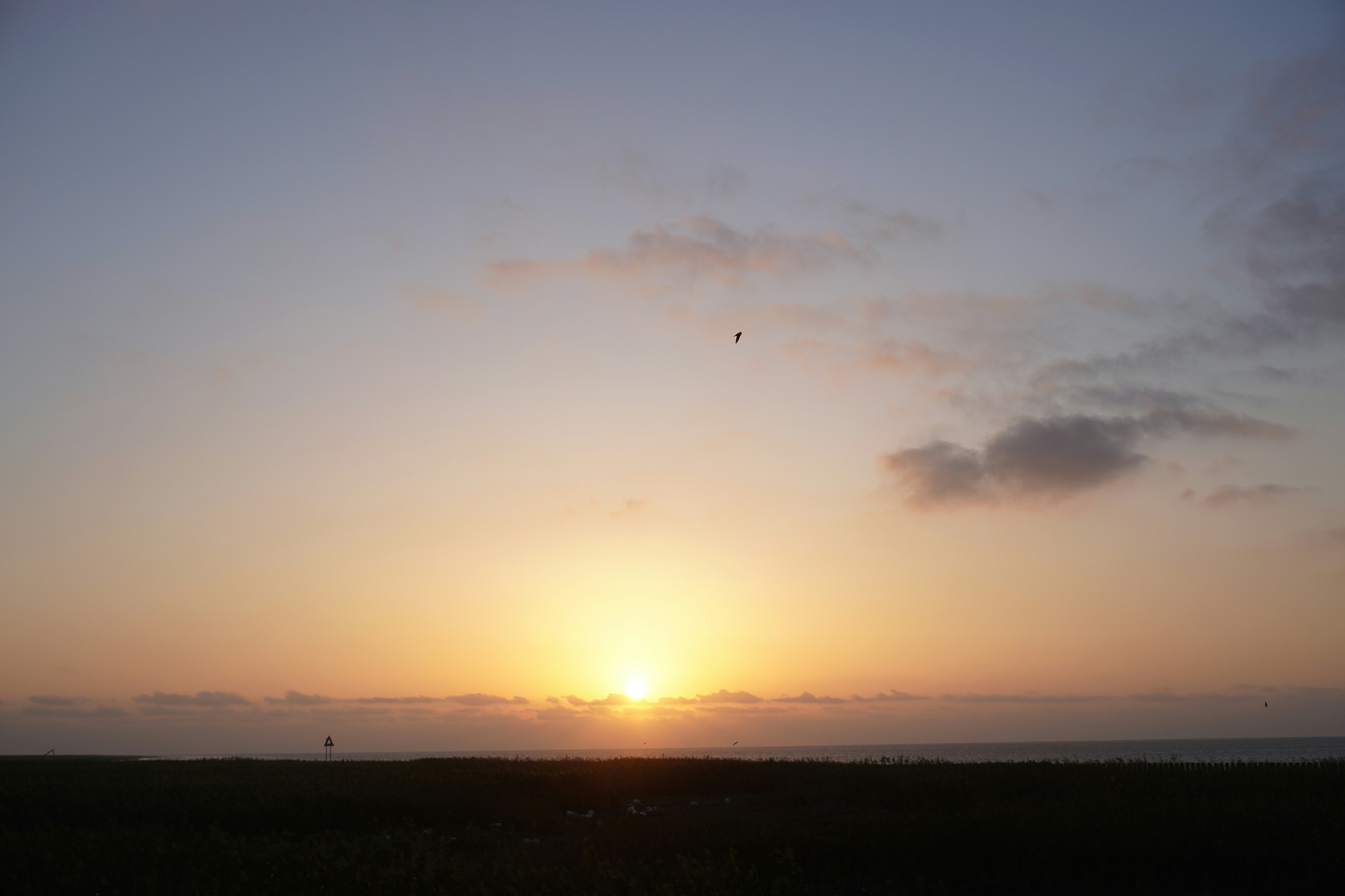 Photo by sakamotomari