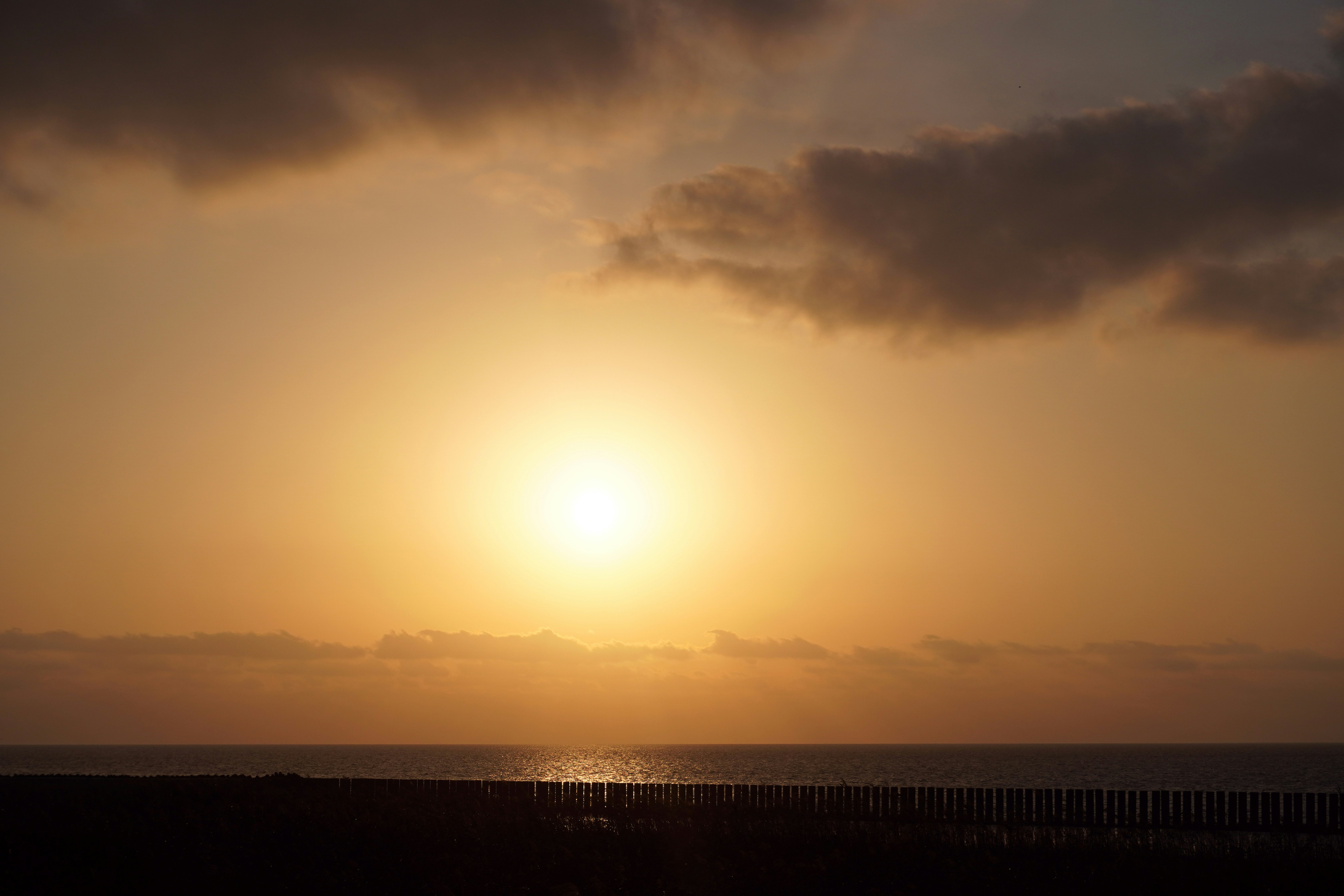 Photo by sakamotomari