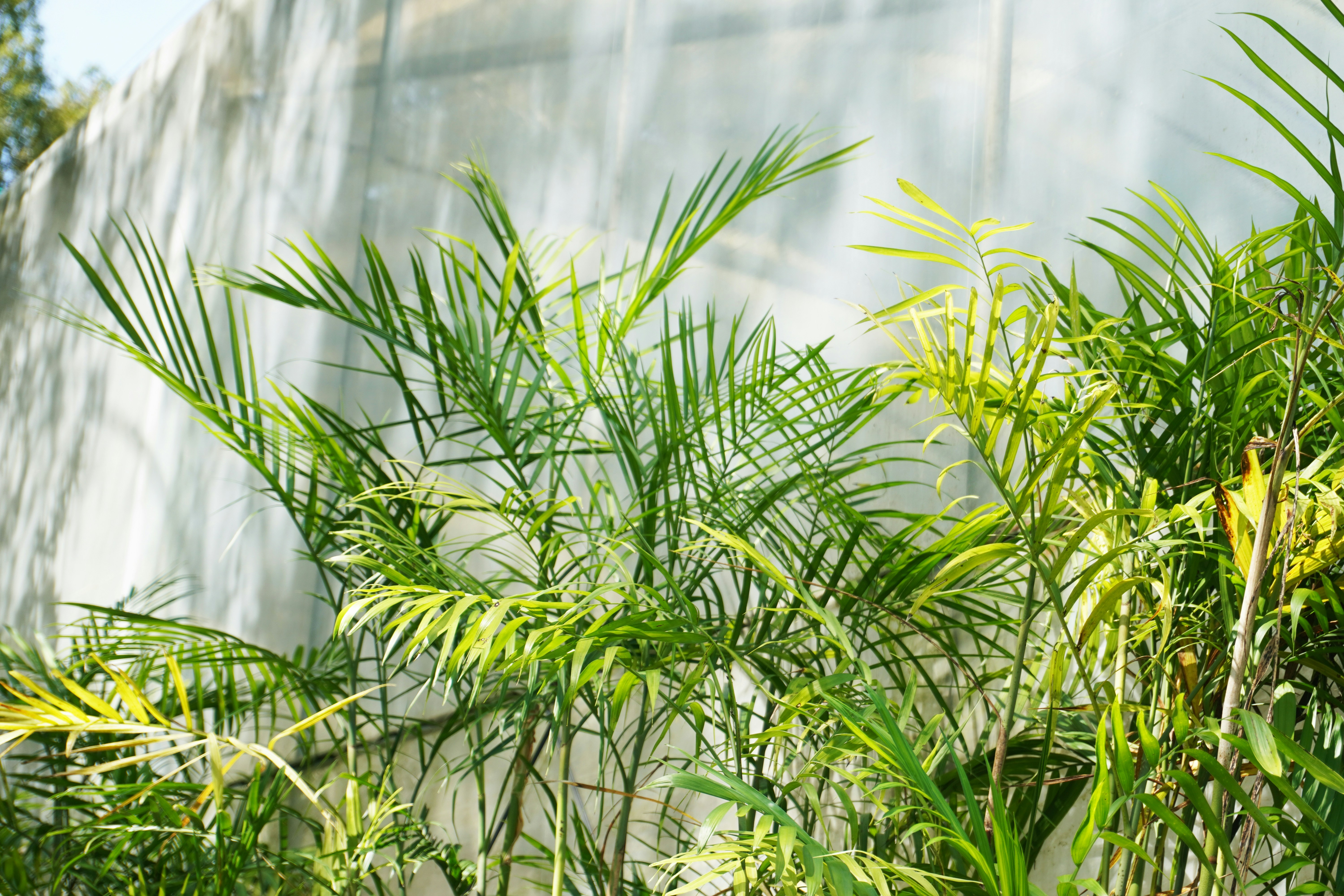 Photo by sakamotomari