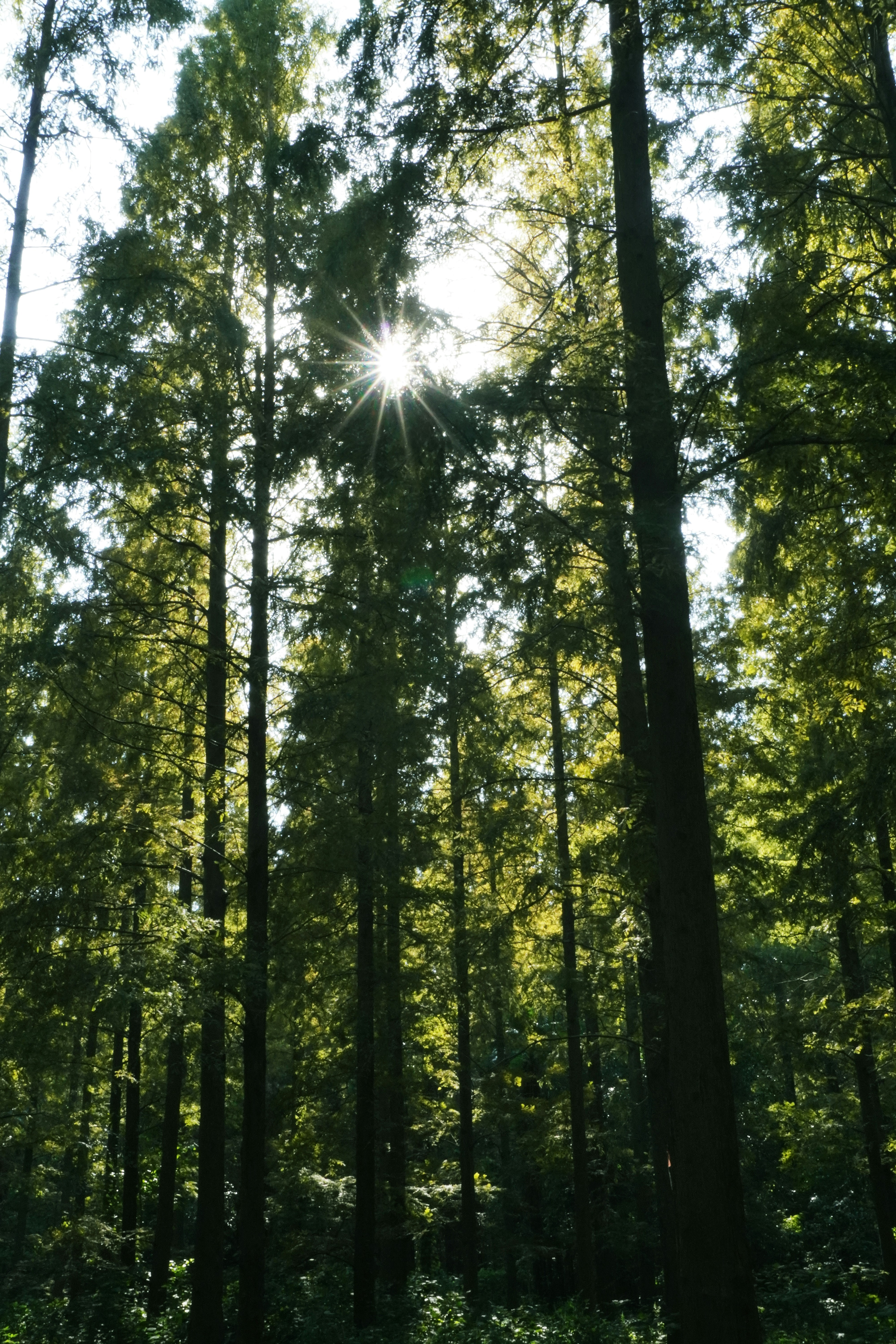 Photo by sakamotomari