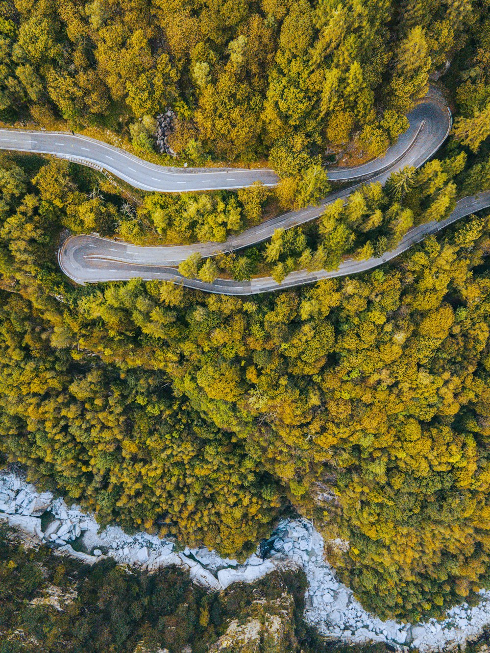 a winding road in the middle of a forest