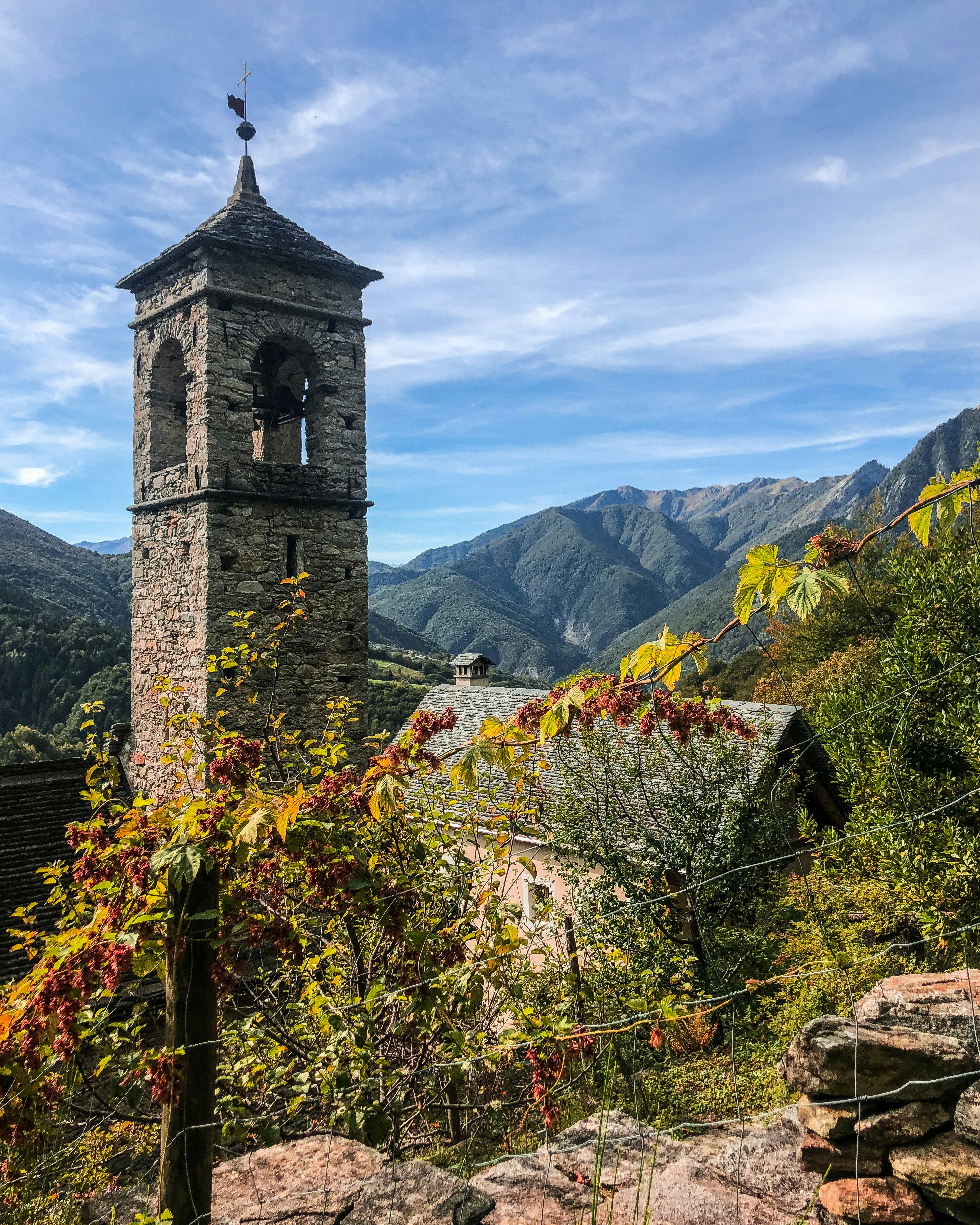 photo-1634469360054-fc50a243ddff?ixlib=rb-4.0.3