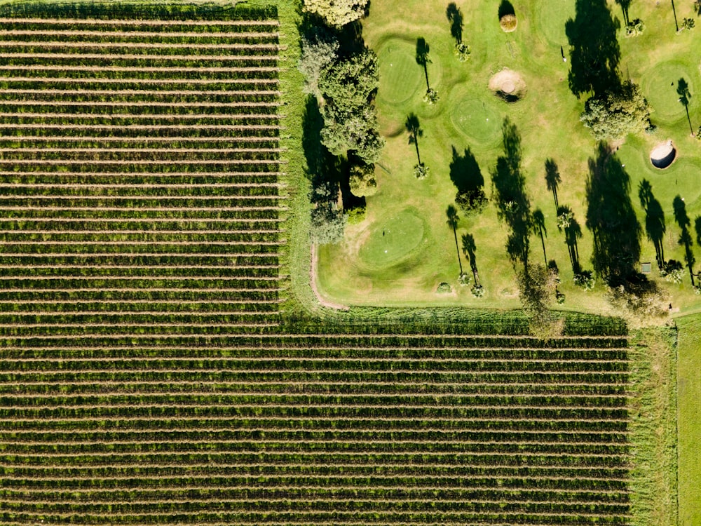 an aerial view of a field with trees