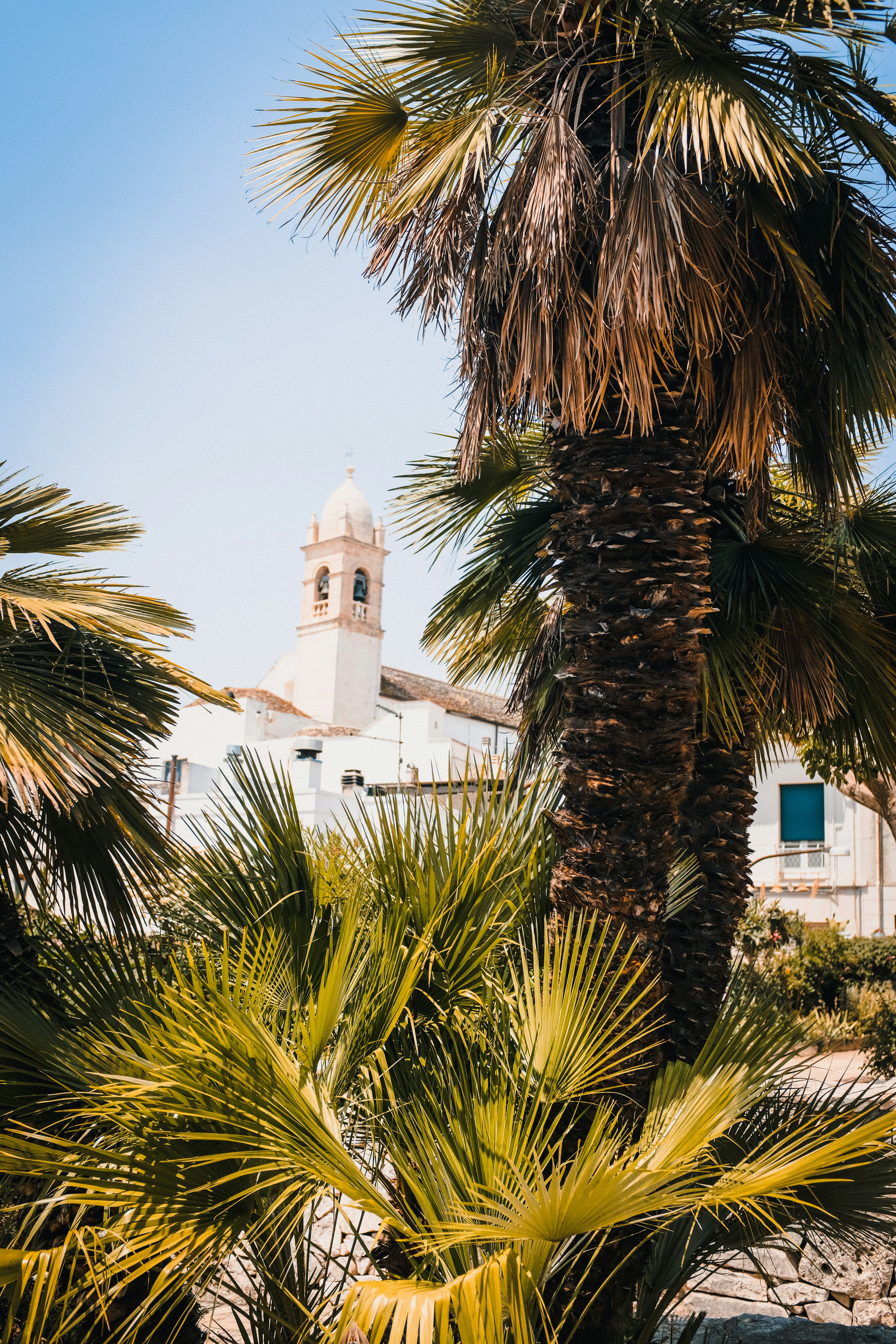 Photo by valentinsteph