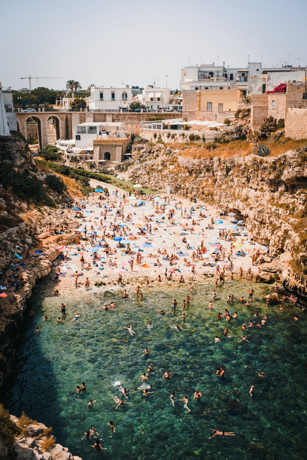 a group of people swimming in a body of water