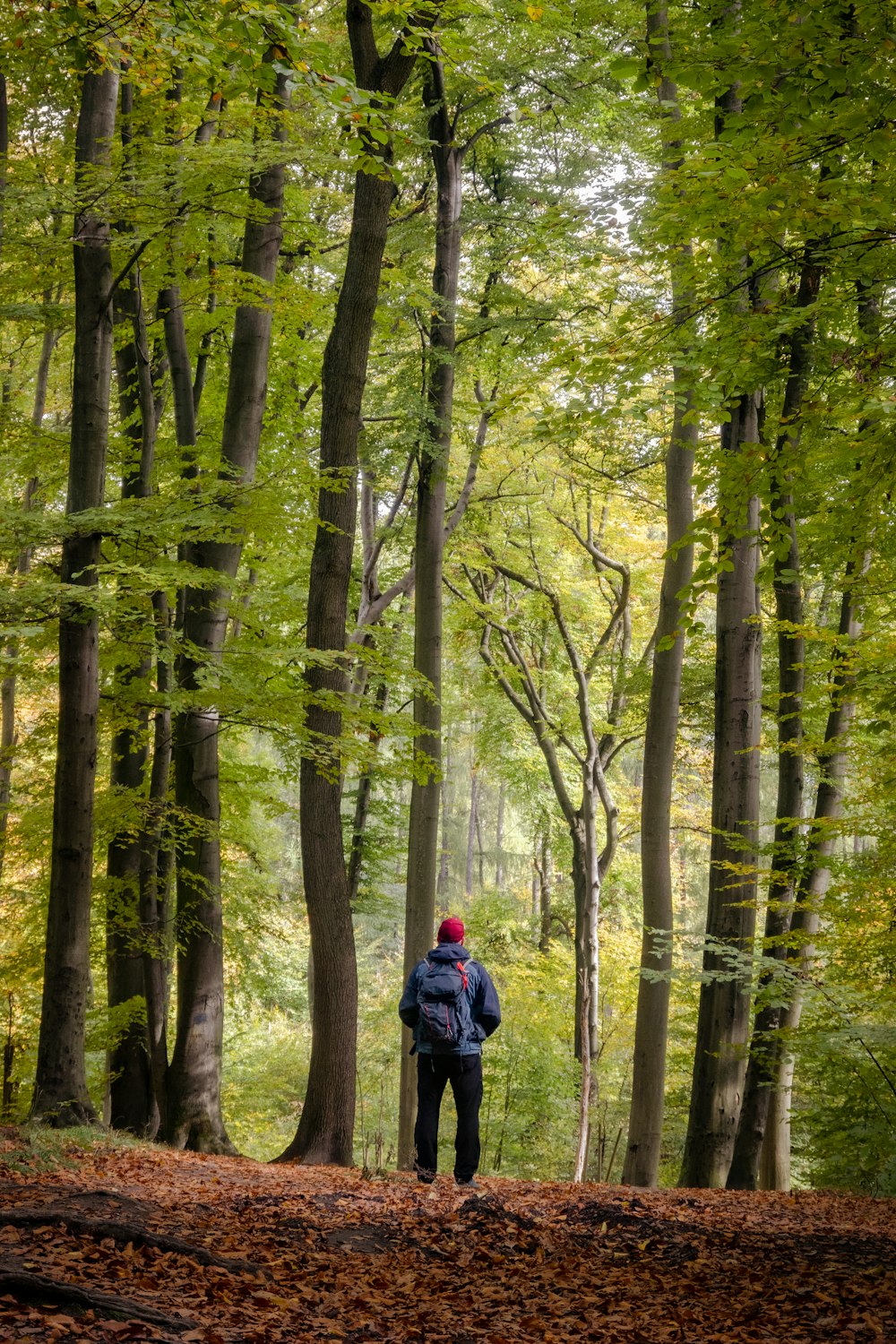 a man with a backpack walking through a forest