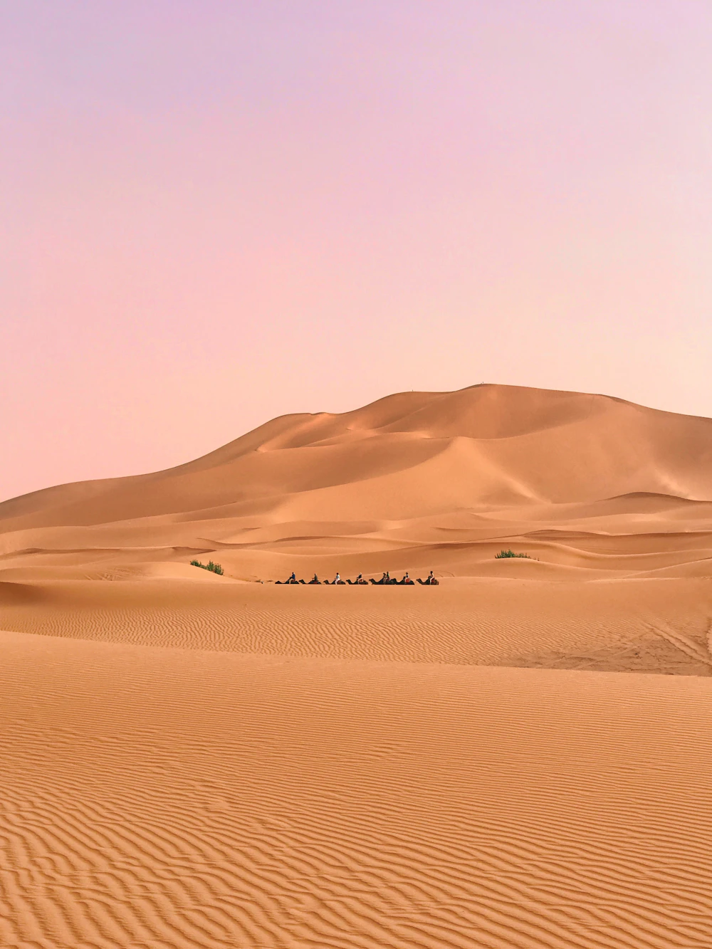Desert light