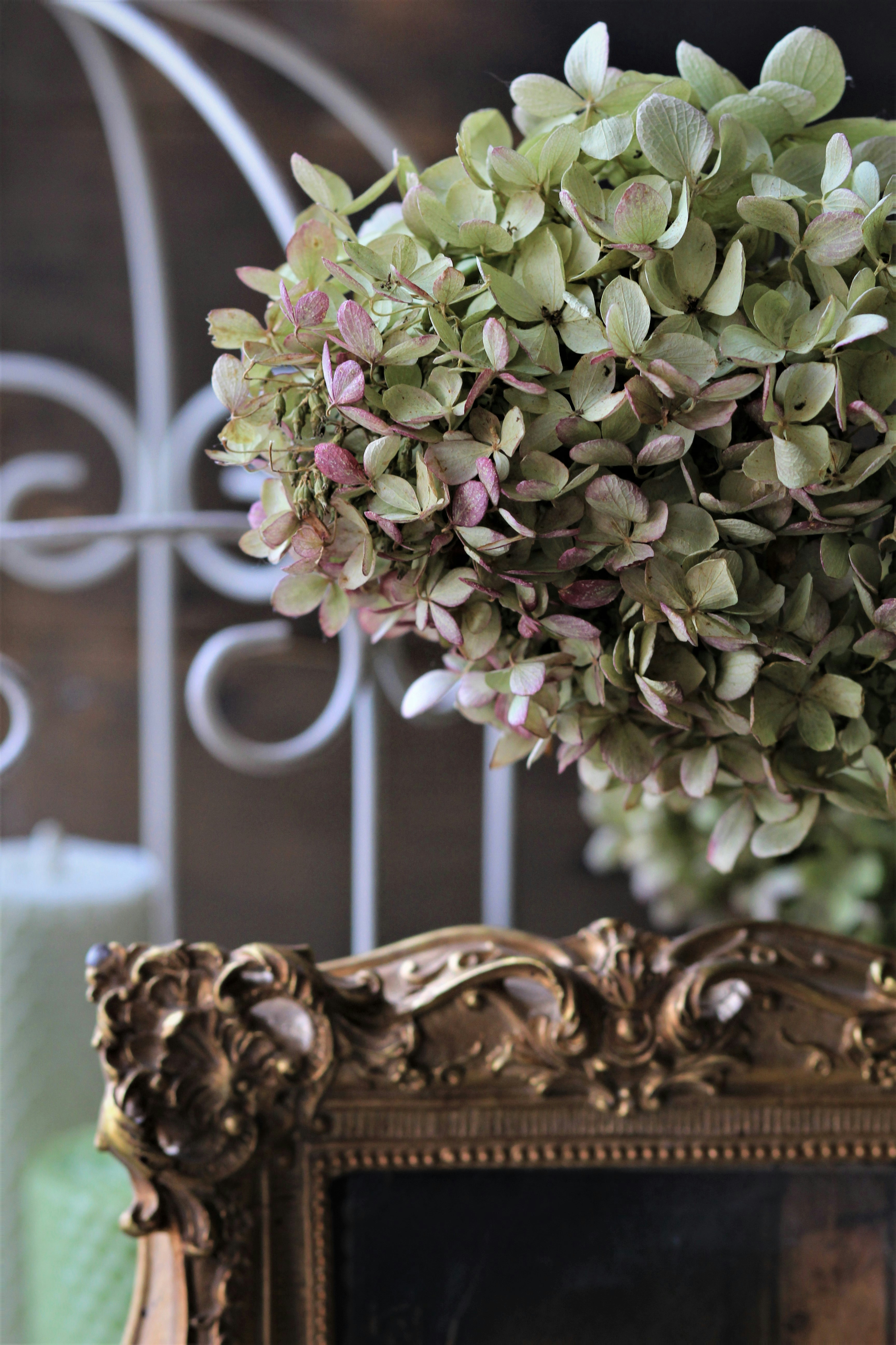 Photo by alla_home_vintage