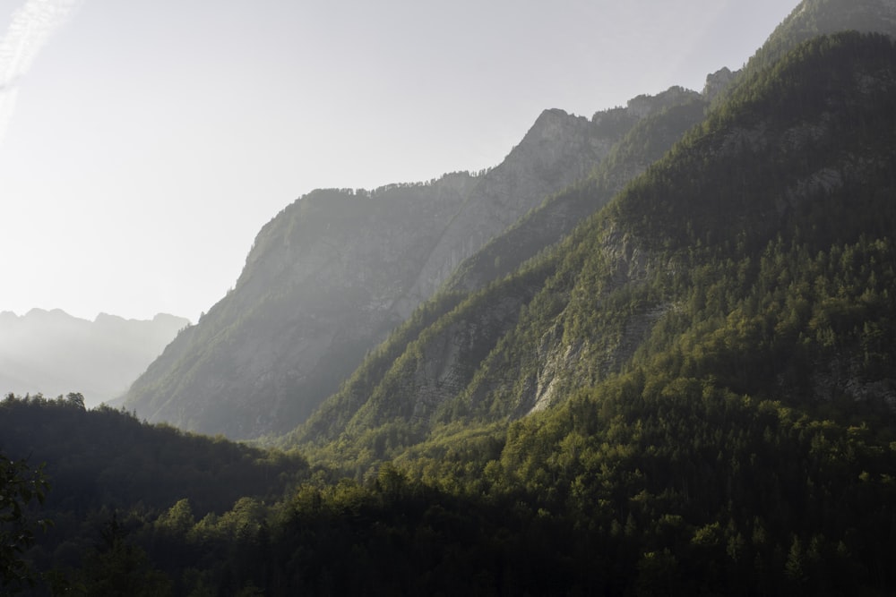 a view of a mountain range with trees in the foreground