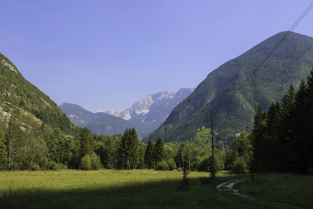 un campo erboso con le montagne sullo sfondo