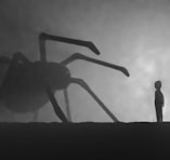 a person standing in front of a giant spider