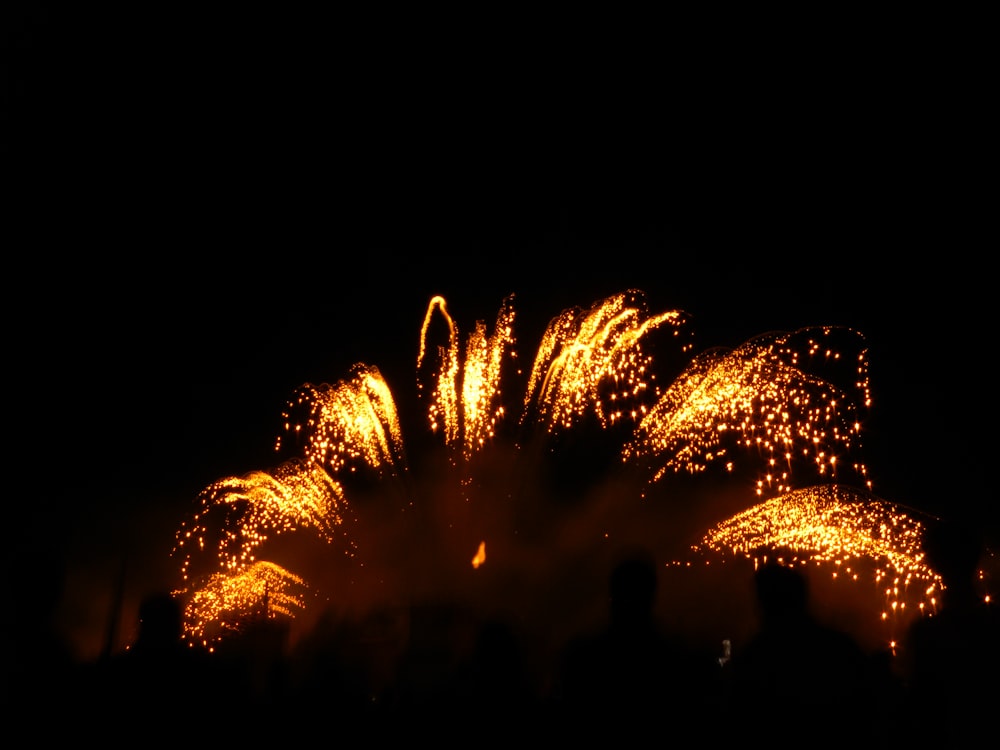 a group of people watching a fireworks display