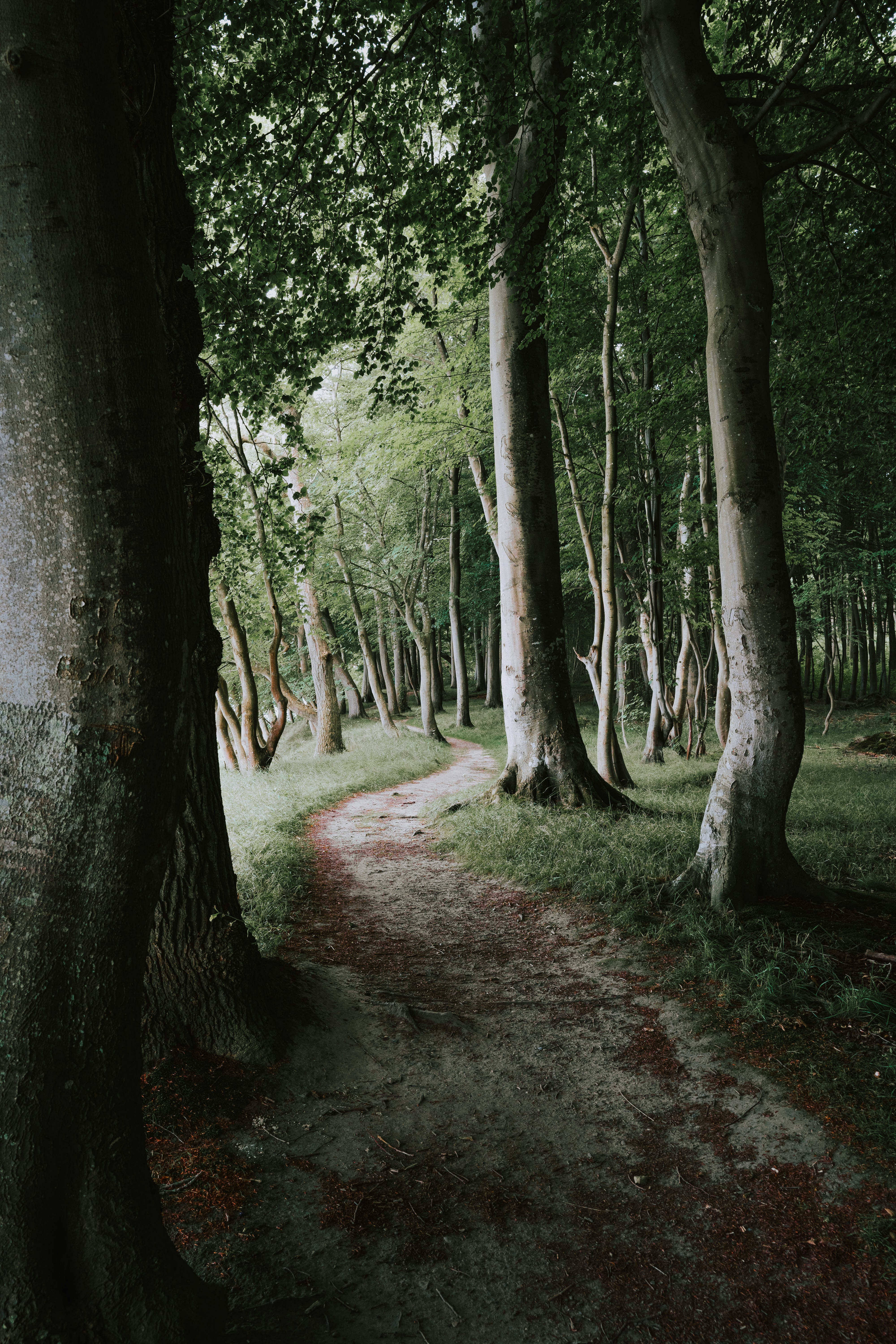 Photo by patriklaszlo