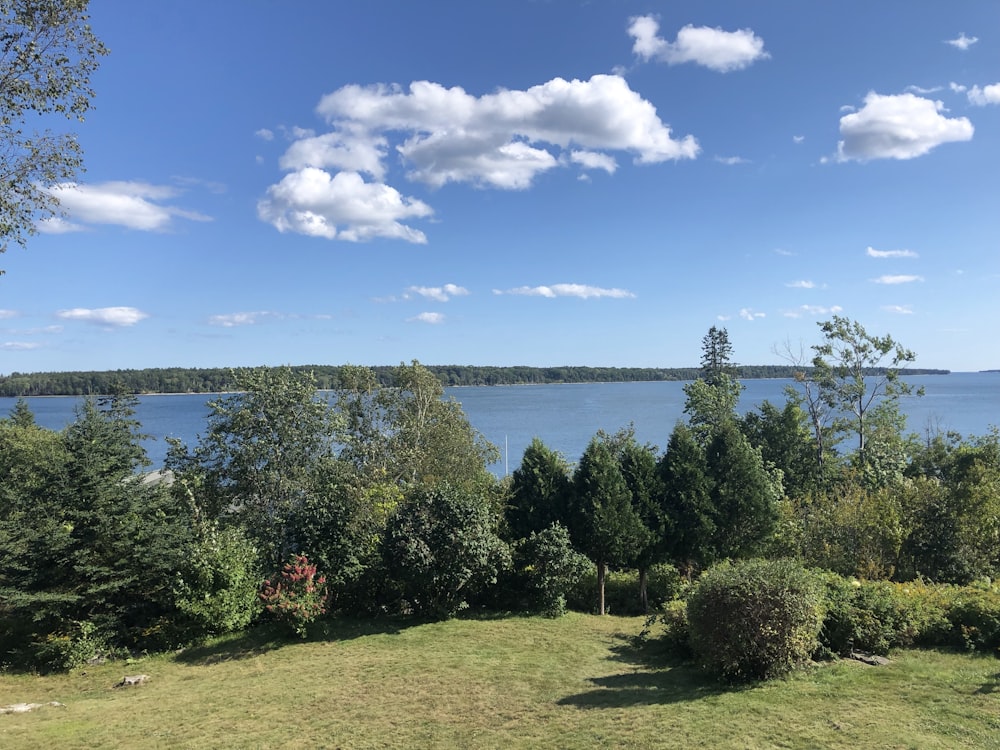 a grassy field with trees and a lake in the background