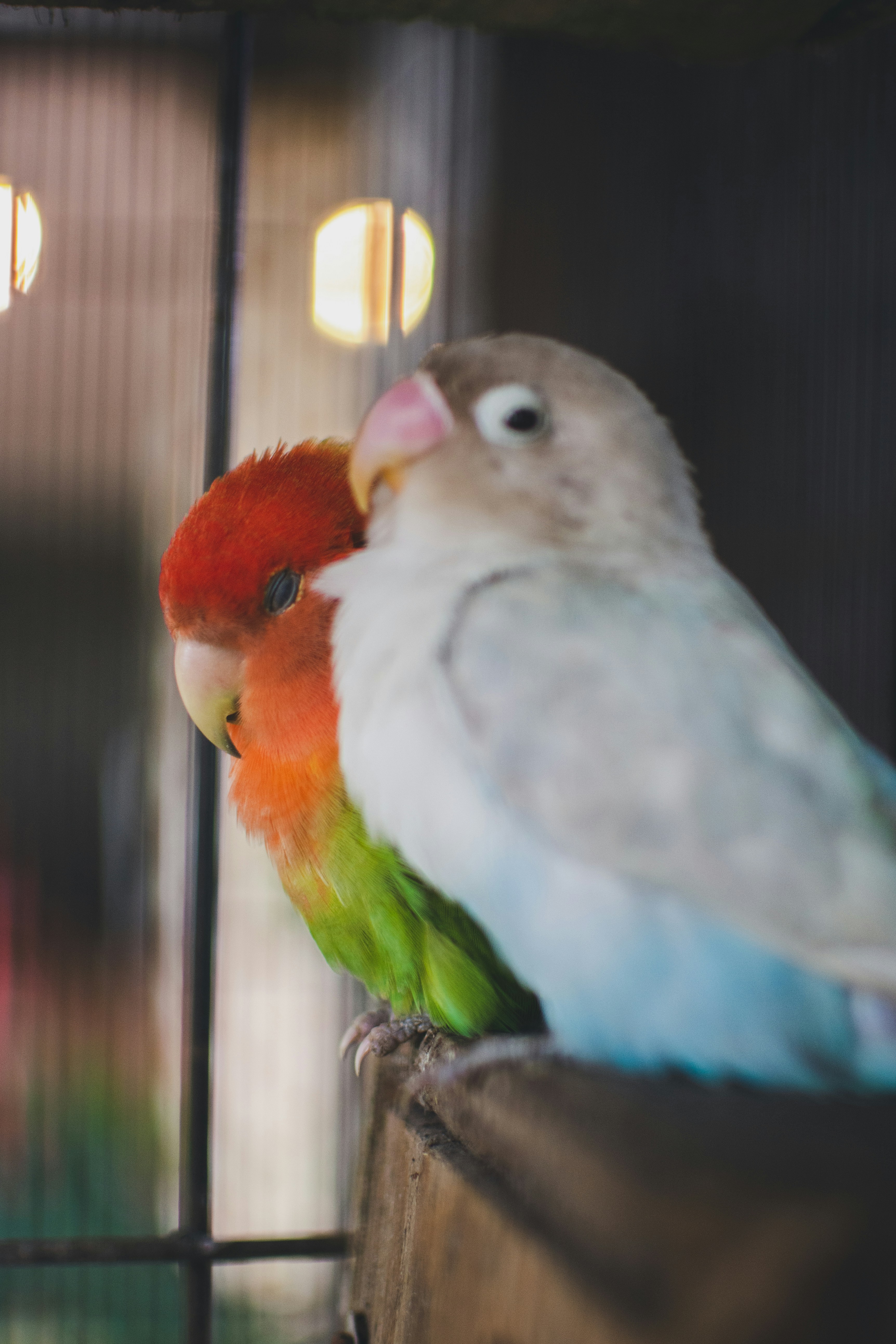 Photo by jctubelleza