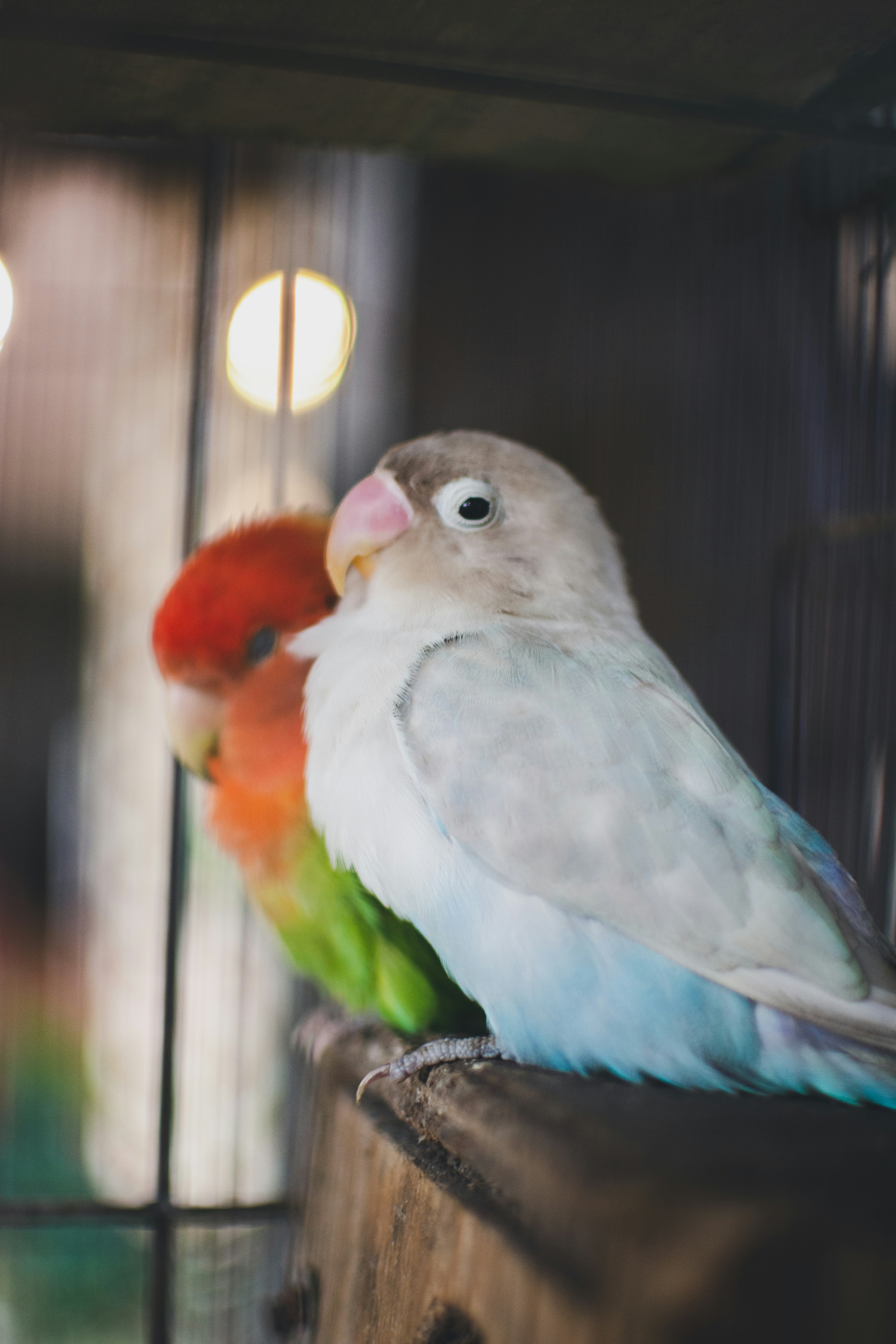 Photo by jctubelleza