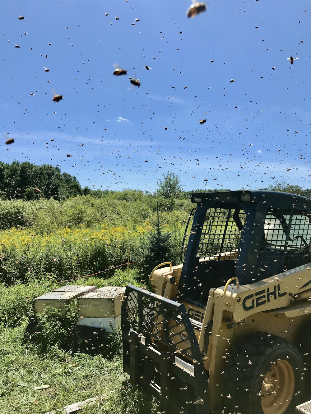 a yellow skid steer driving through a field