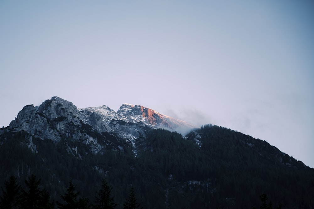 a snow covered mountain with trees in the foreground