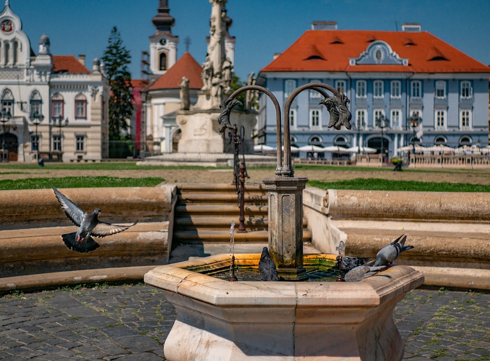 a fountain with birds sitting on it in front of a building