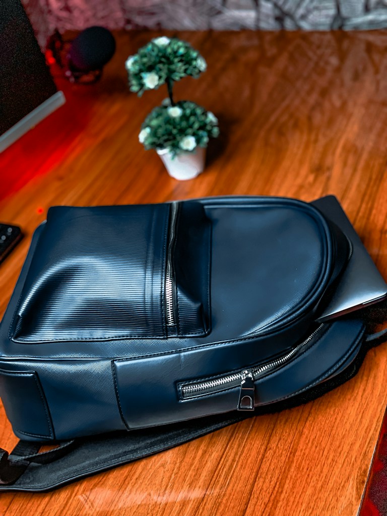 Everyday Travel Backpack