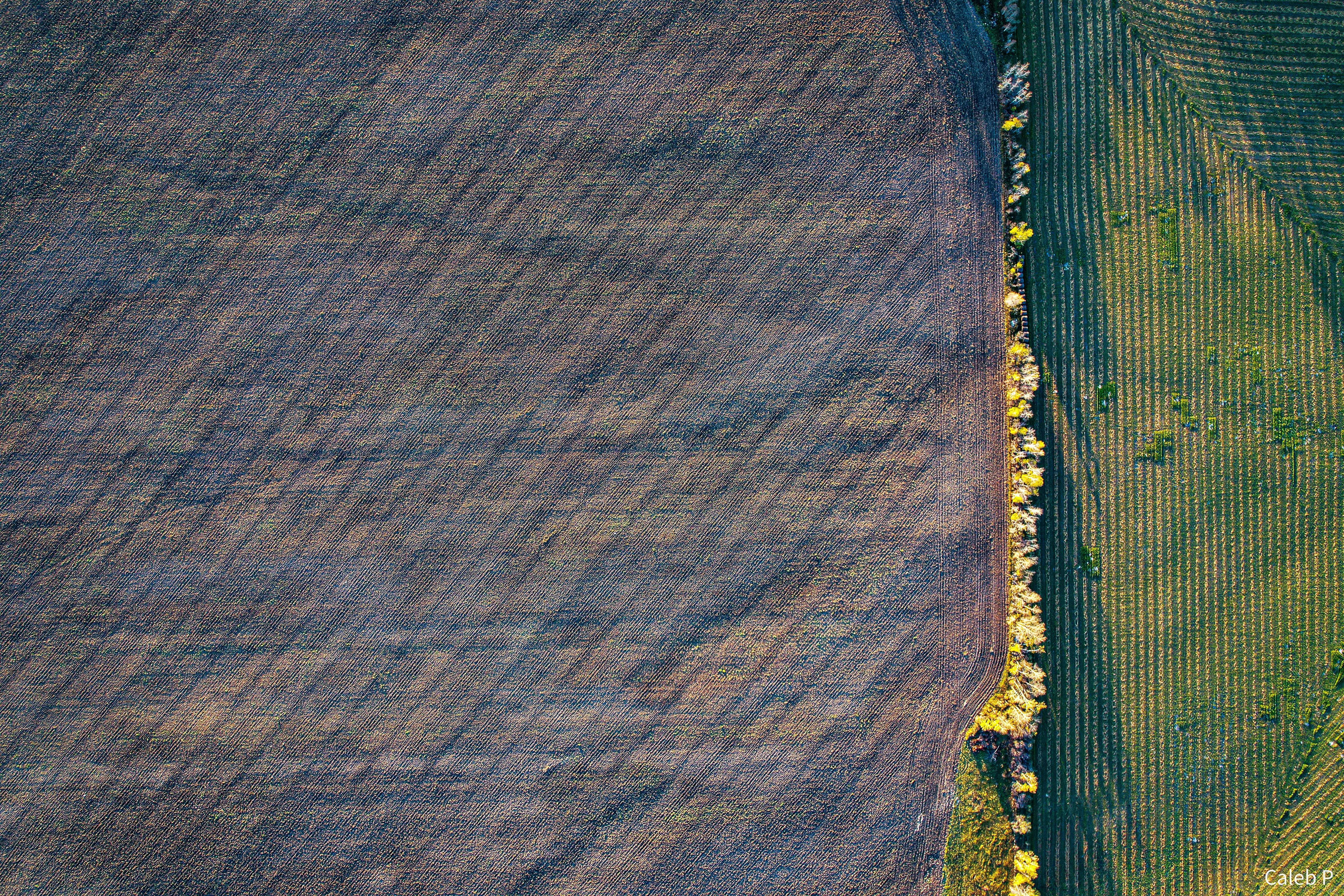 Photo by dronarephotography