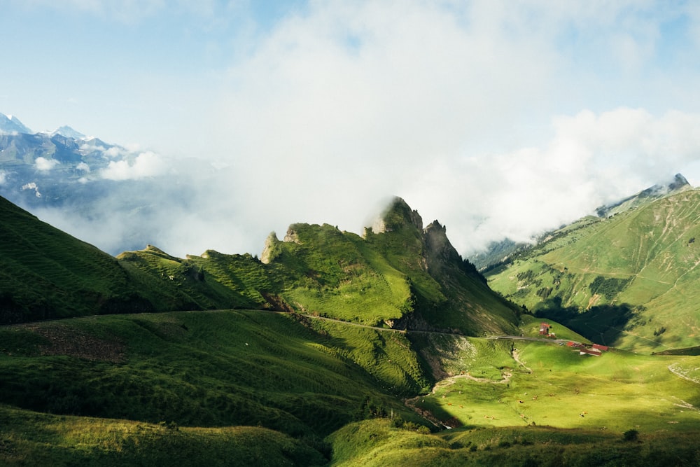 a lush green valley with mountains in the background