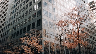 a tall building with lots of windows next to trees