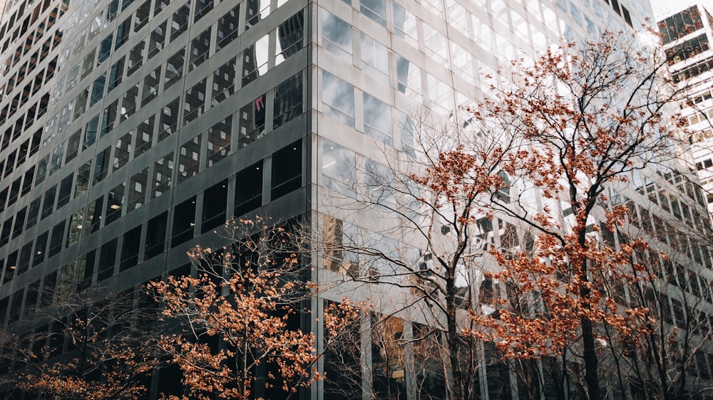 a tall building with lots of windows next to trees