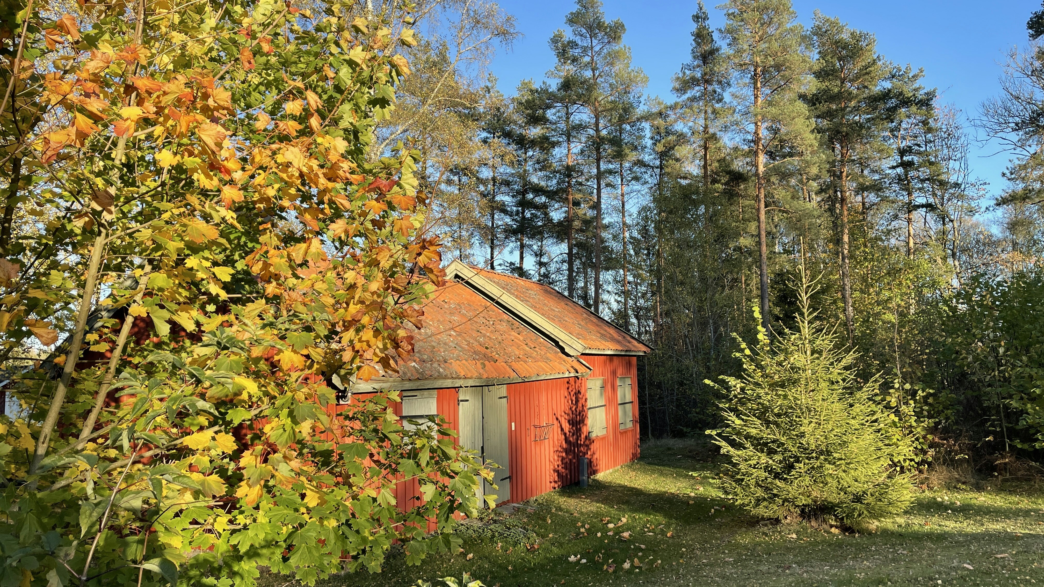 RYG destination photo